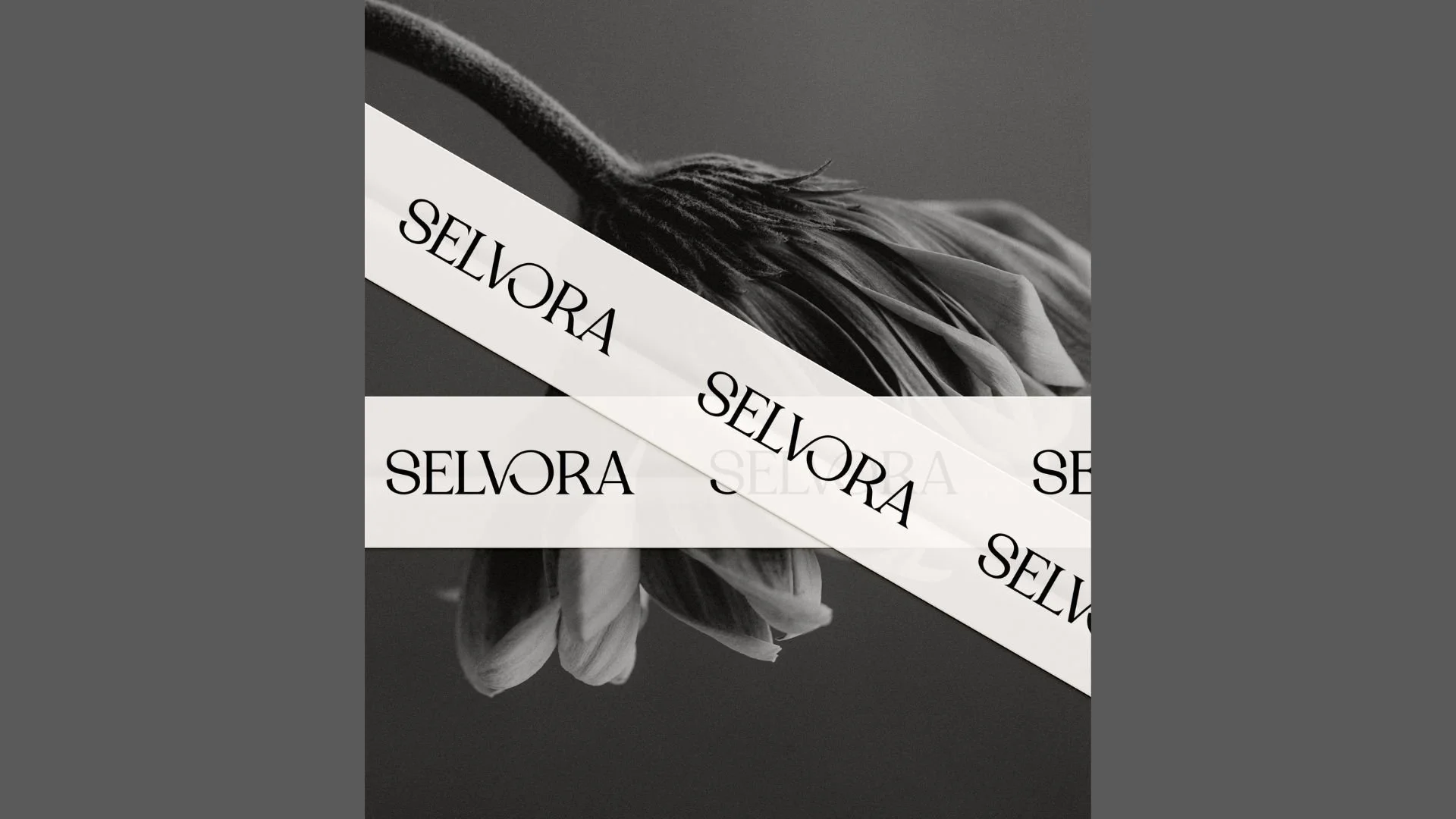 Timeless branding design built around elegant feminine aesthetic, minimal composition, refined details and luxury brand positioning.
