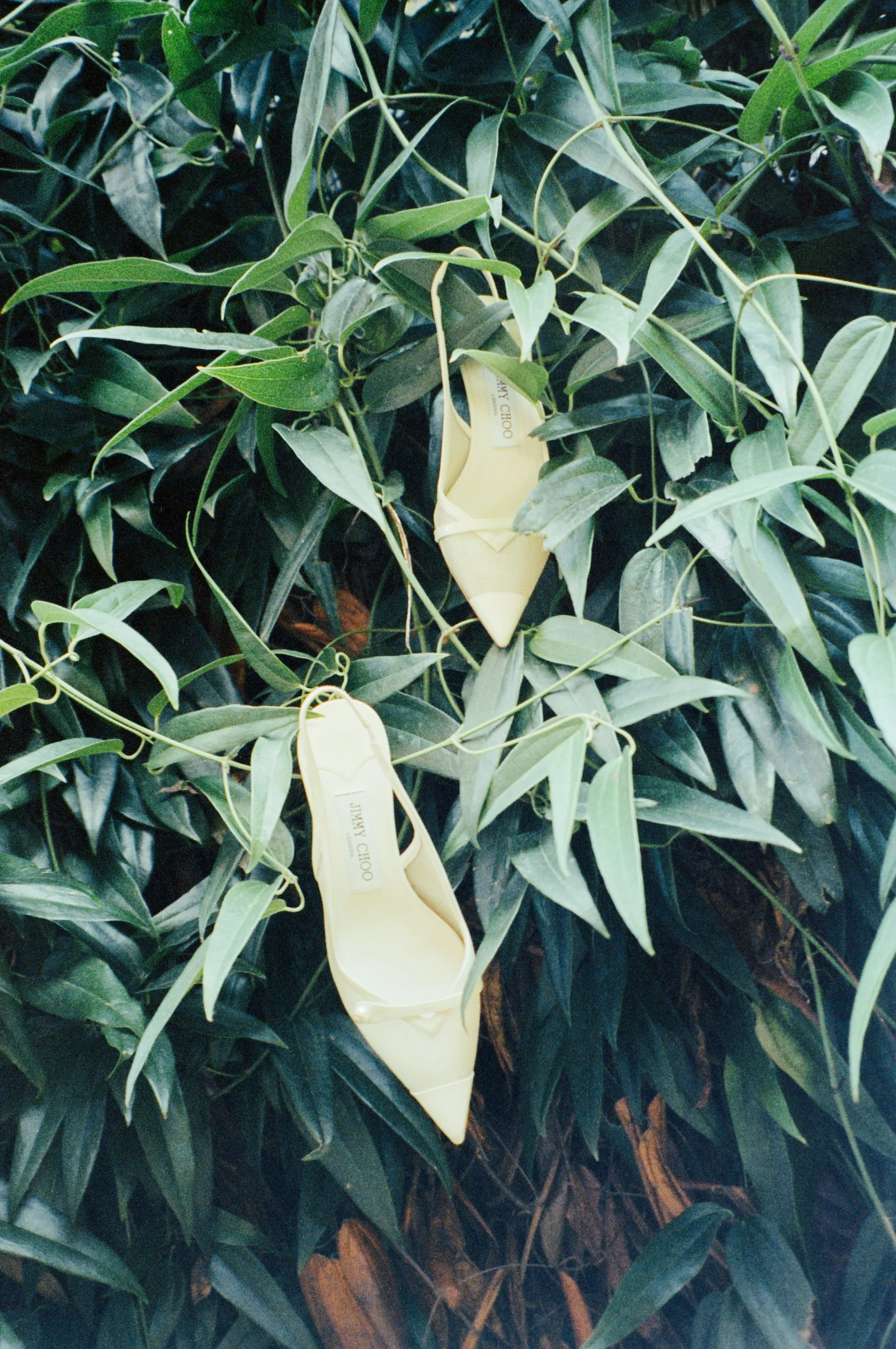 2509295343  017-2.jpg