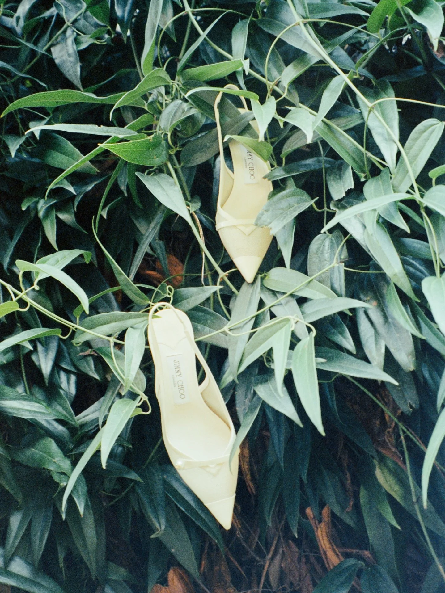 Choos on film 🎞️