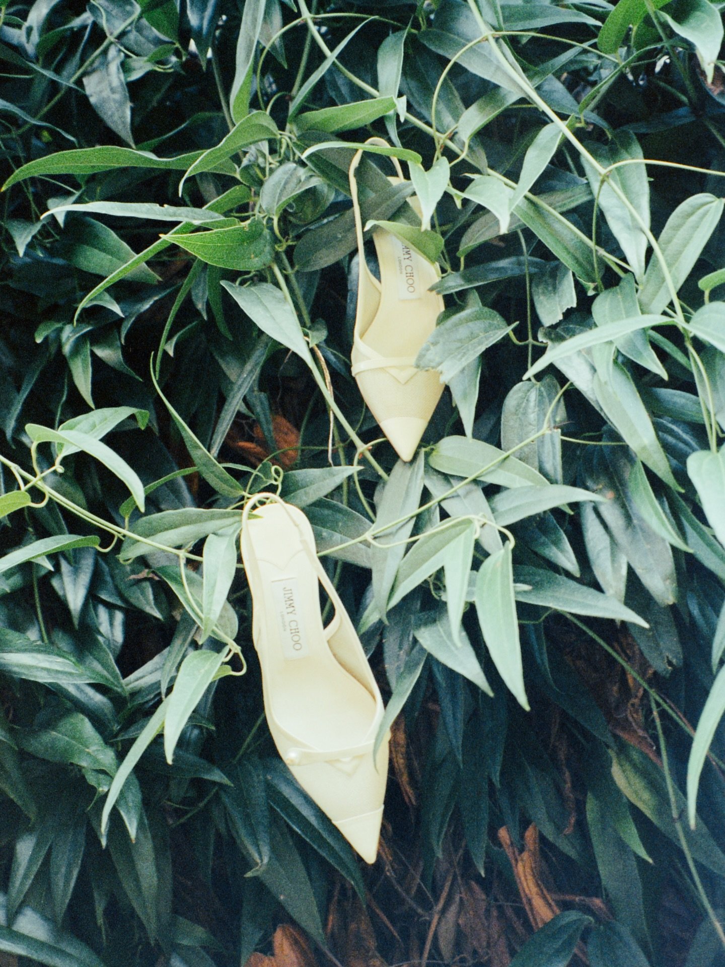 Choos on film 🎞️