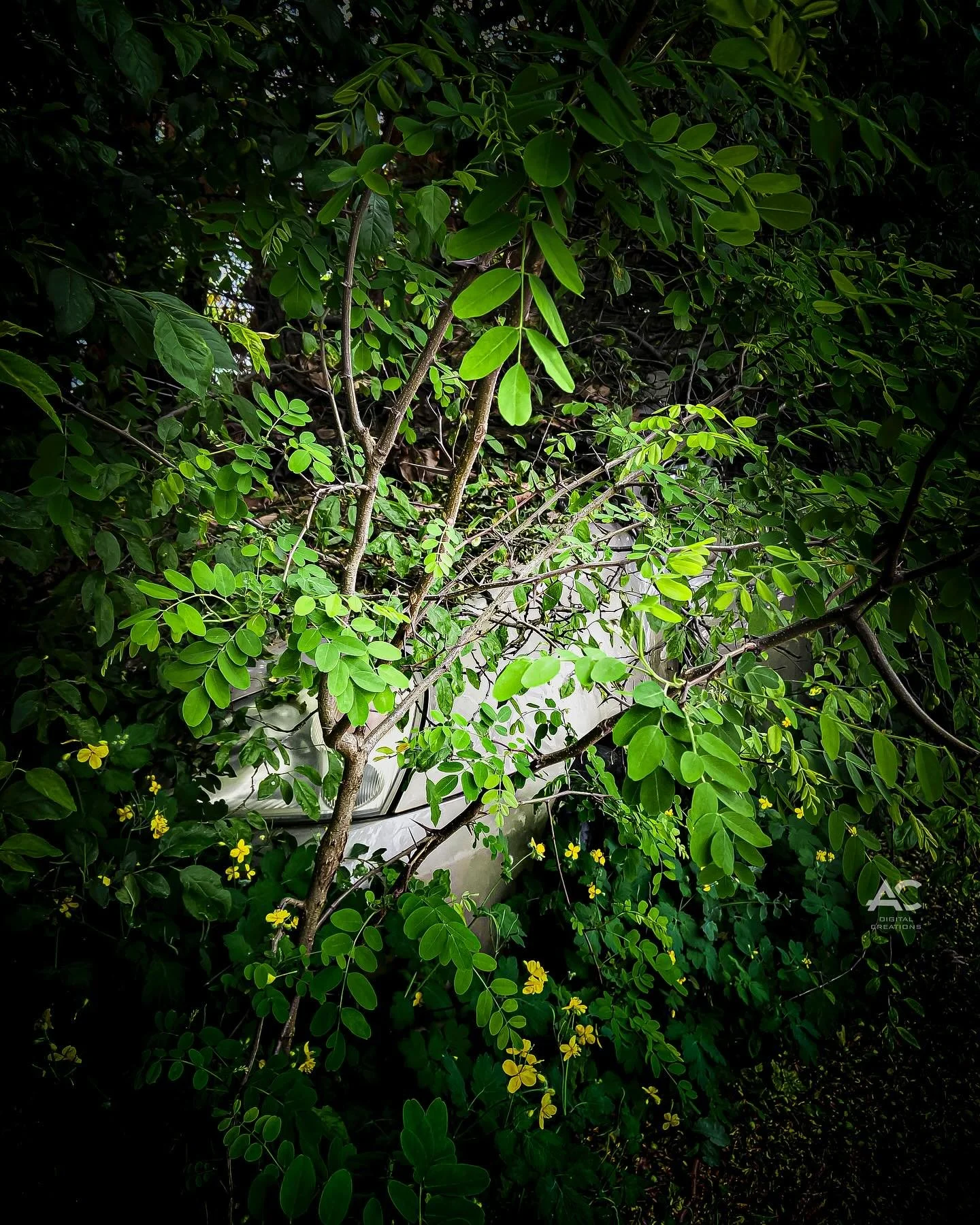 Mother Nature has a way of reminding us who&rsquo;s really in charge. She gives us so much&mdash;beauty, life, and everything in between&mdash;but she can just as easily take it back.

There&rsquo;s something truly powerful about watching nature recl