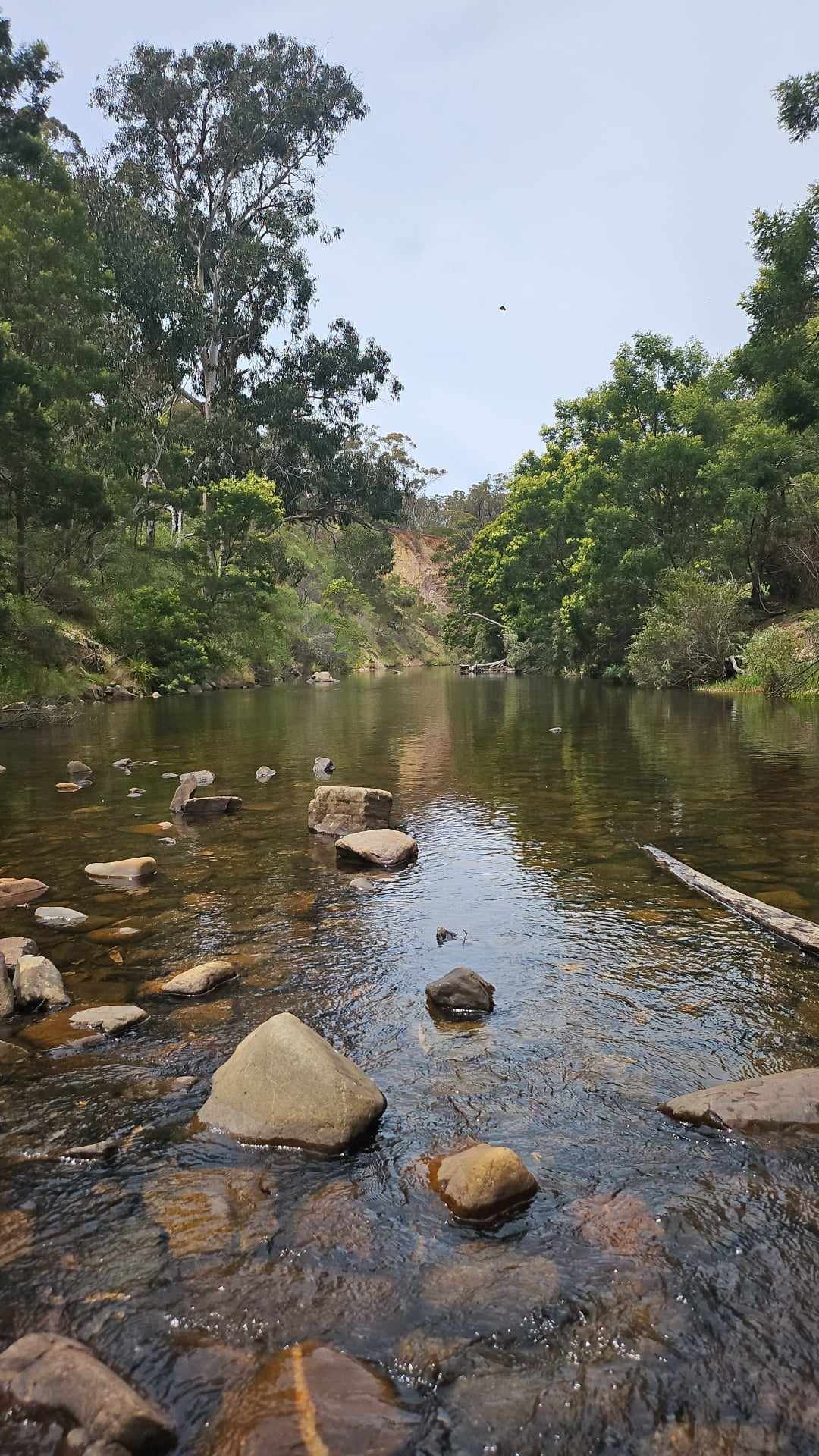 Lerderderg Gorge - Bacchus Marsh