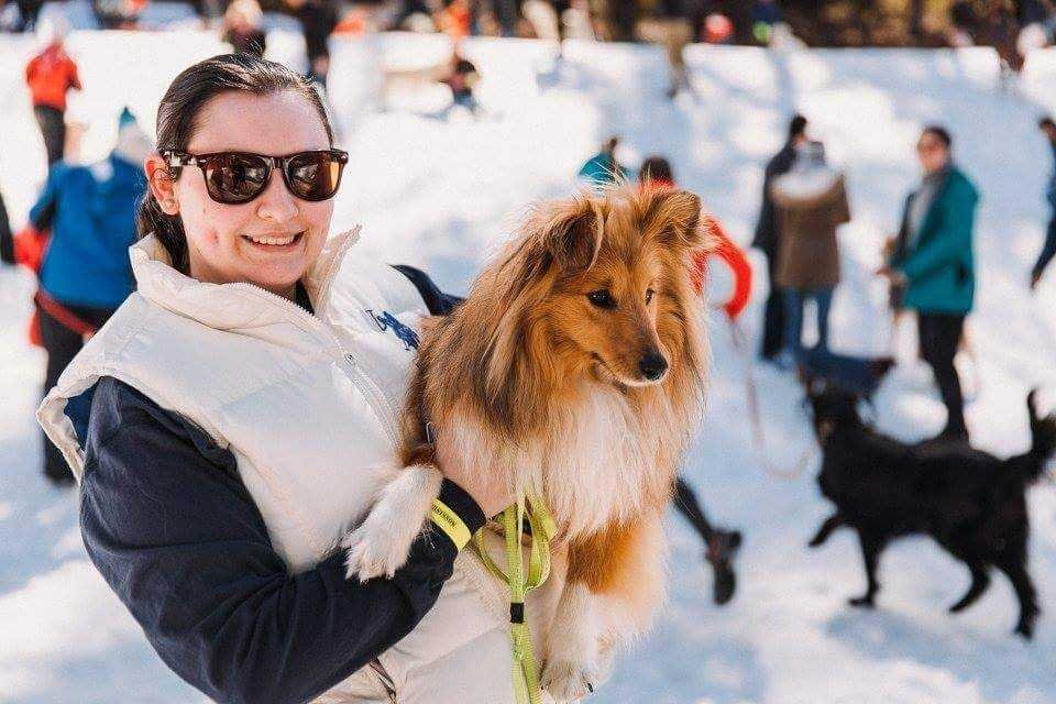 Dog Snow Day - Tuggeranong Canberra