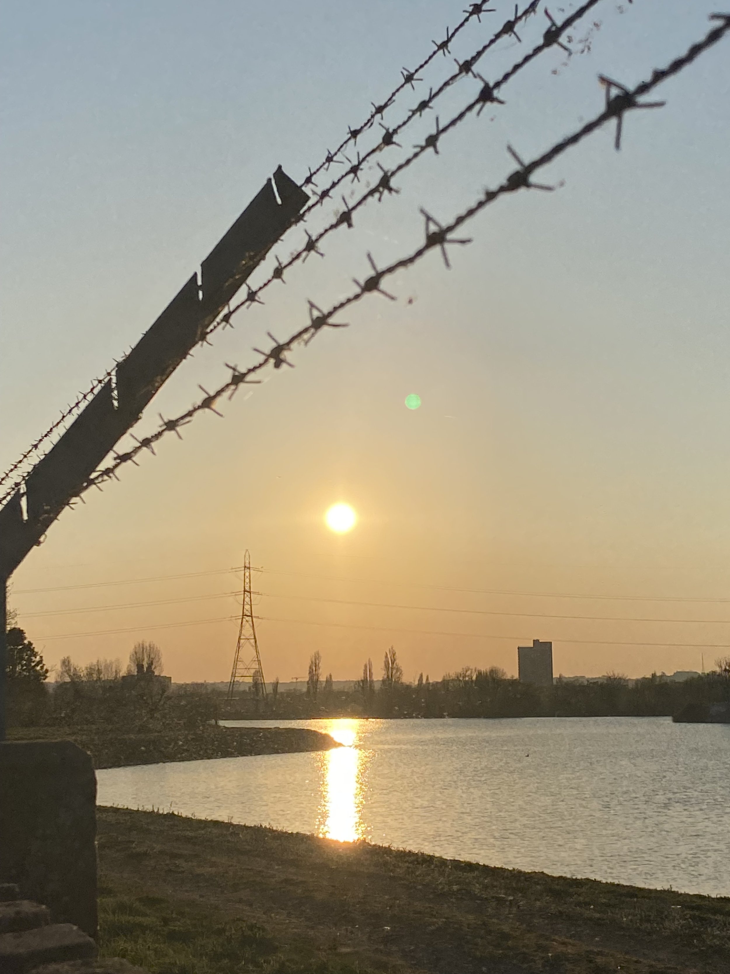 New home by the Wetlands, London