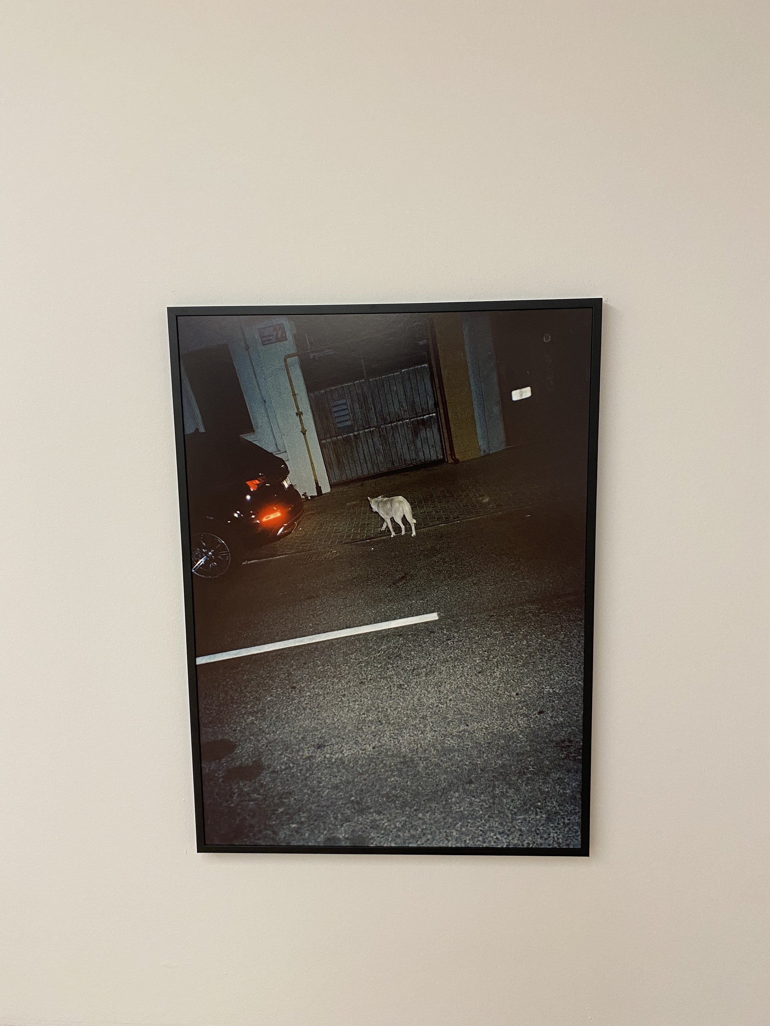 IMG_4814.jpeg