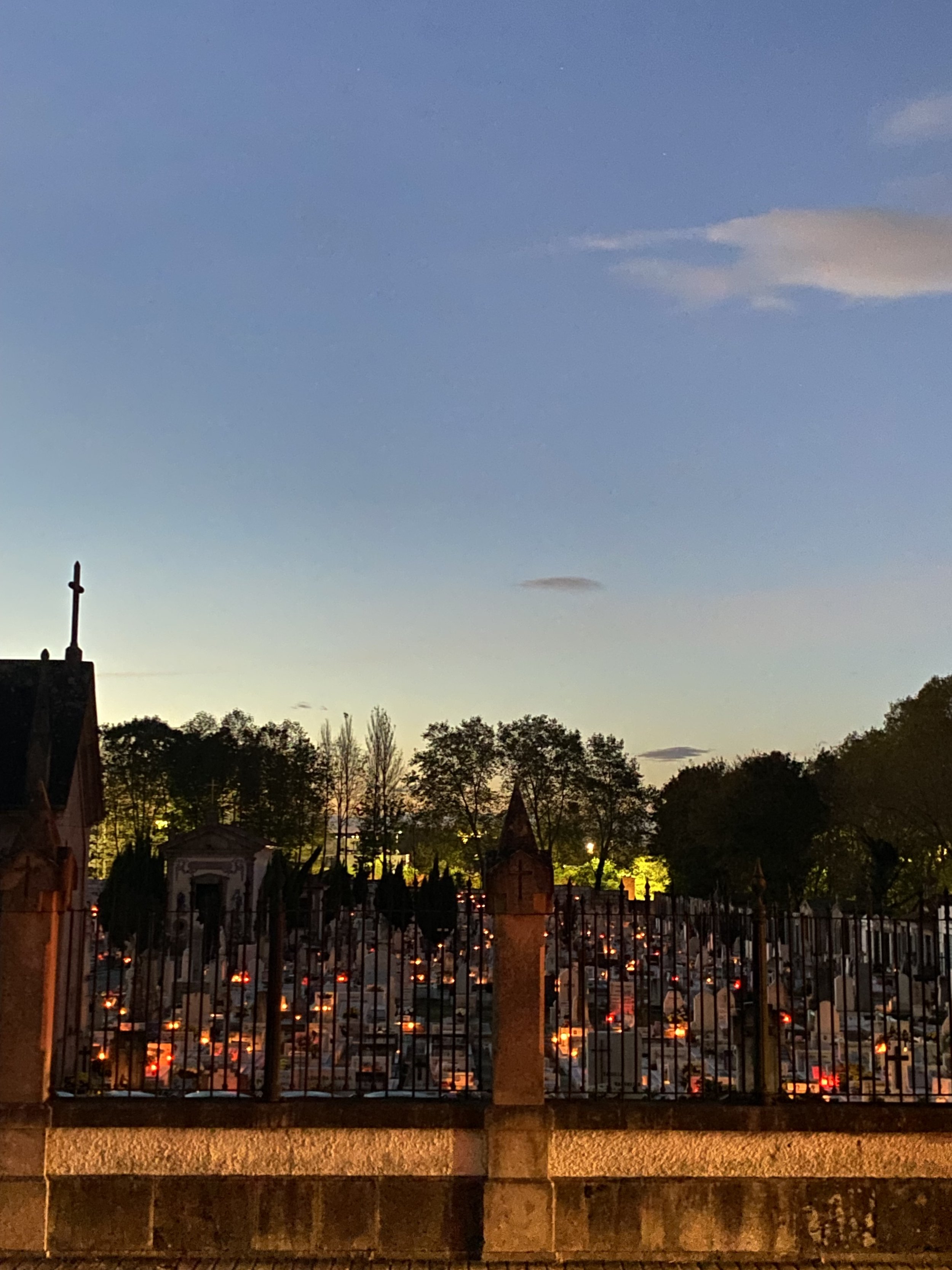 IMG_3952.jpeg