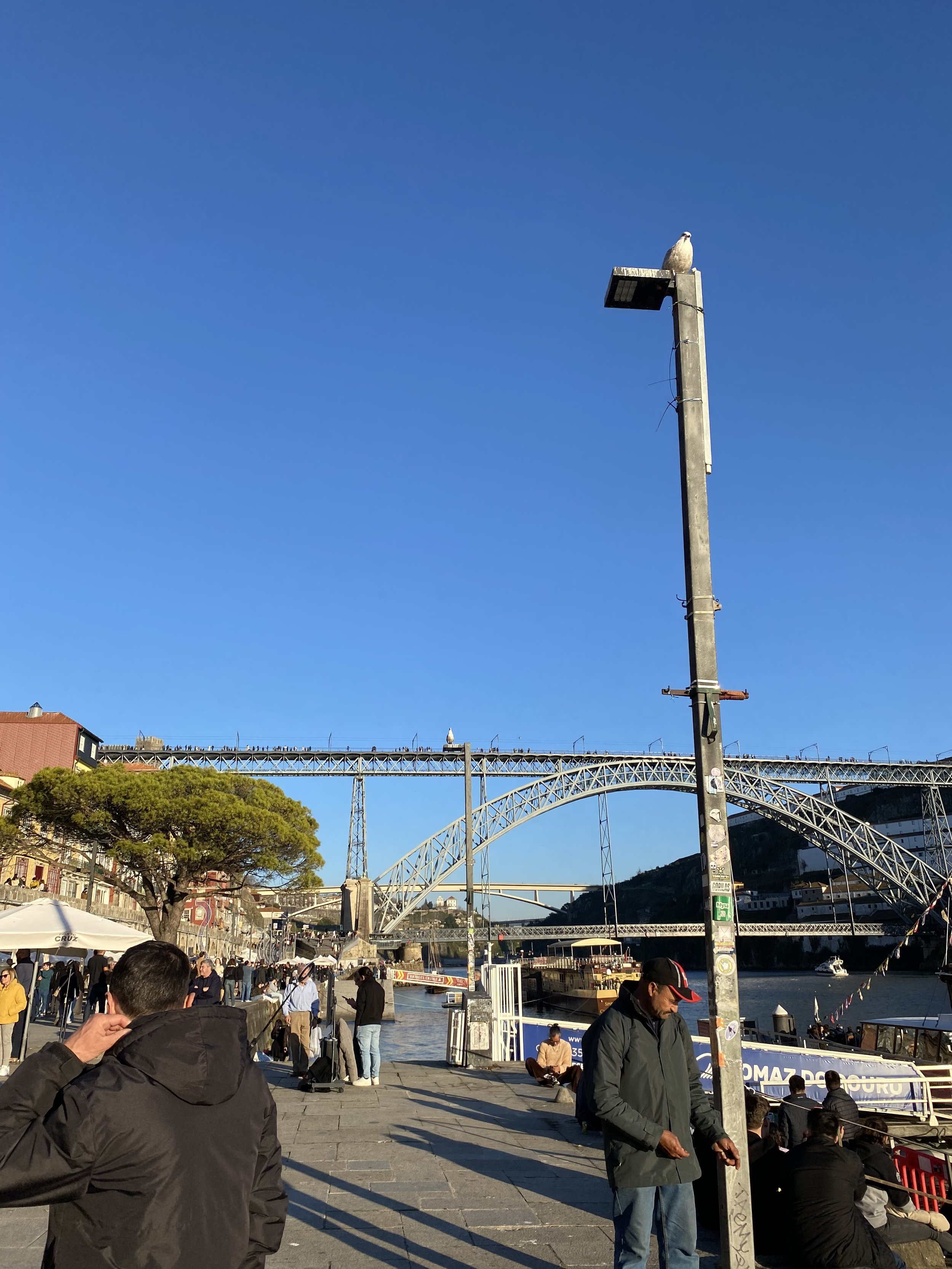 IMG_4789.jpeg