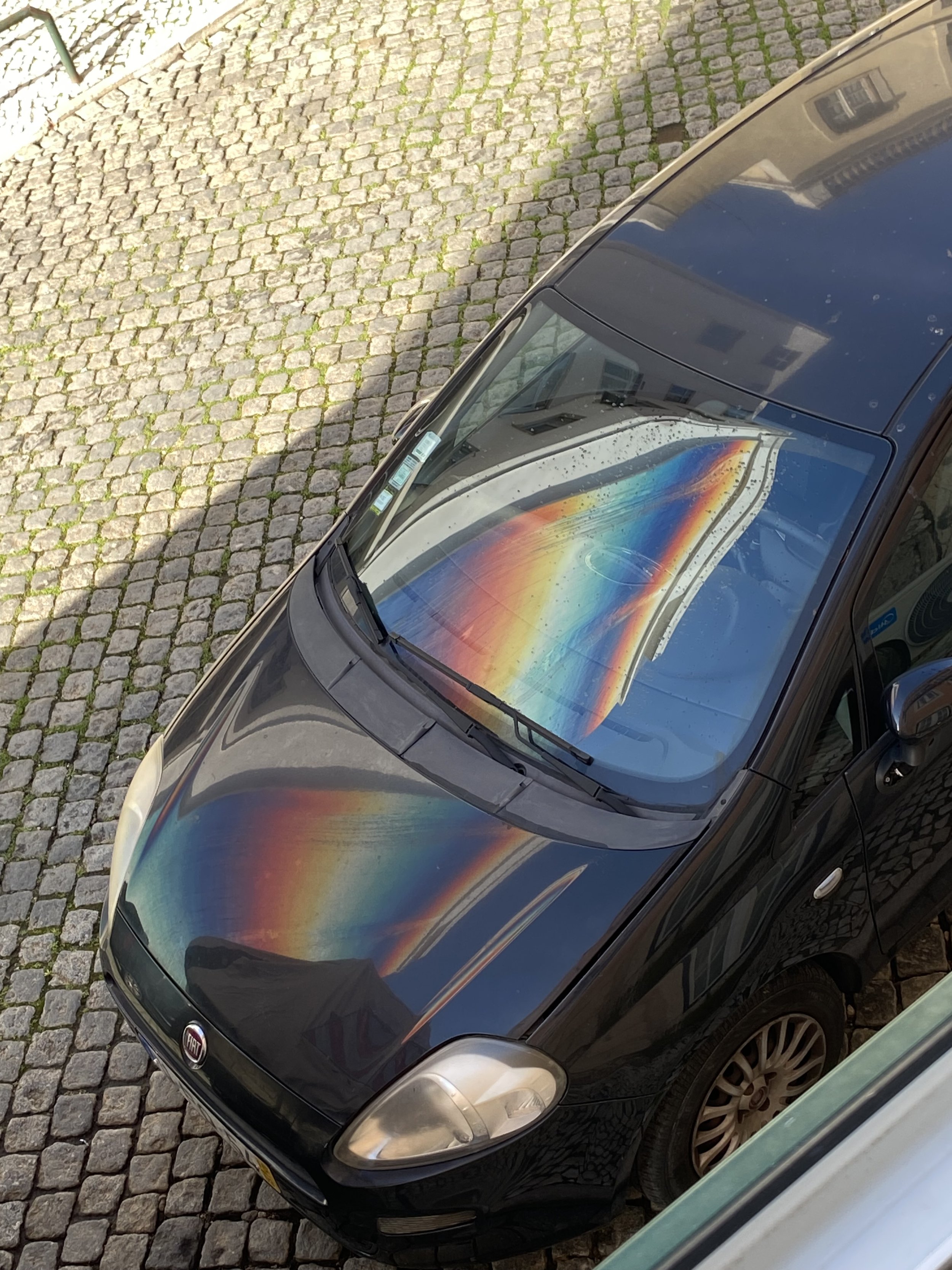 IMG_4488.jpeg
