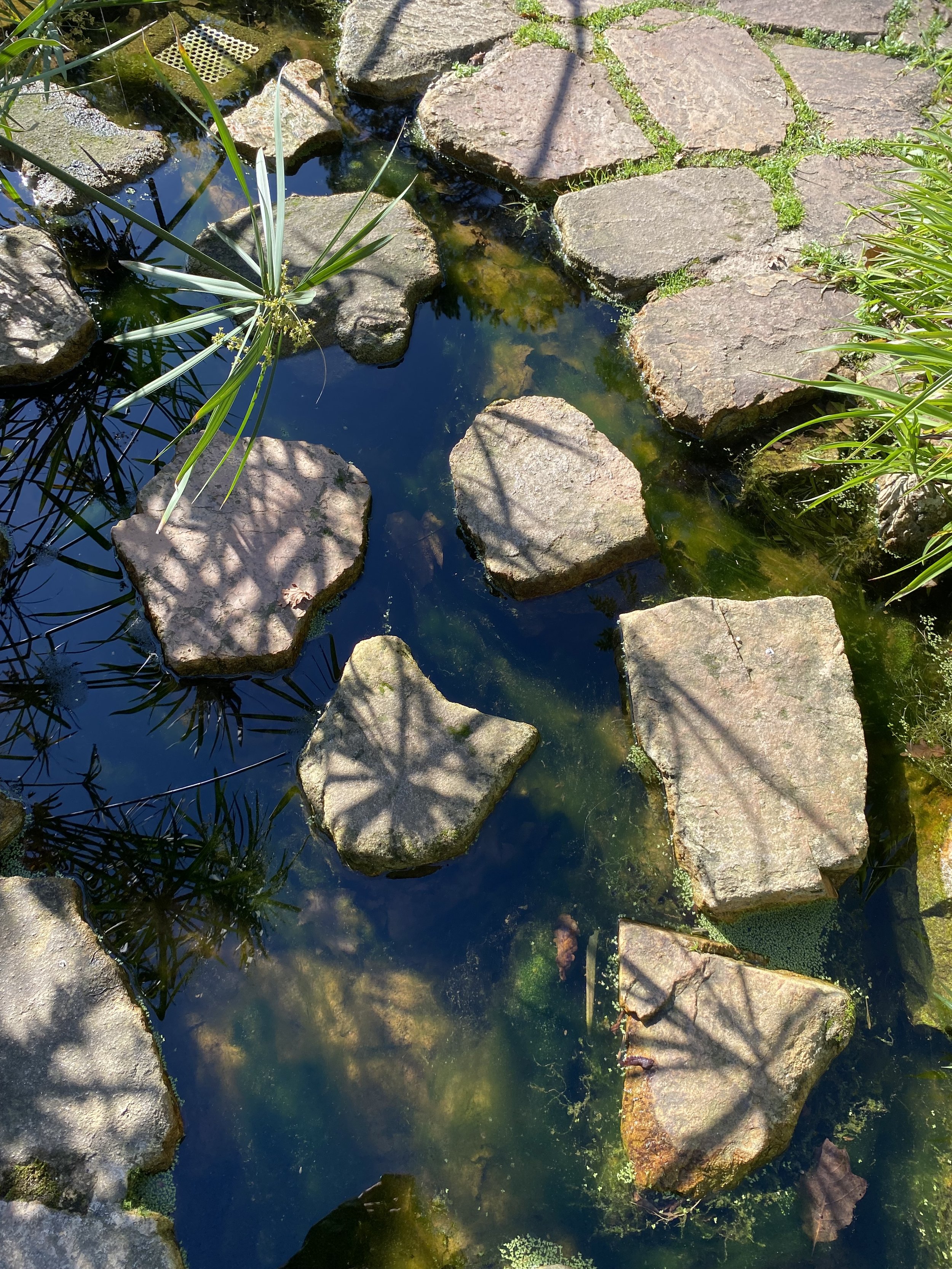 IMG_4847.jpeg