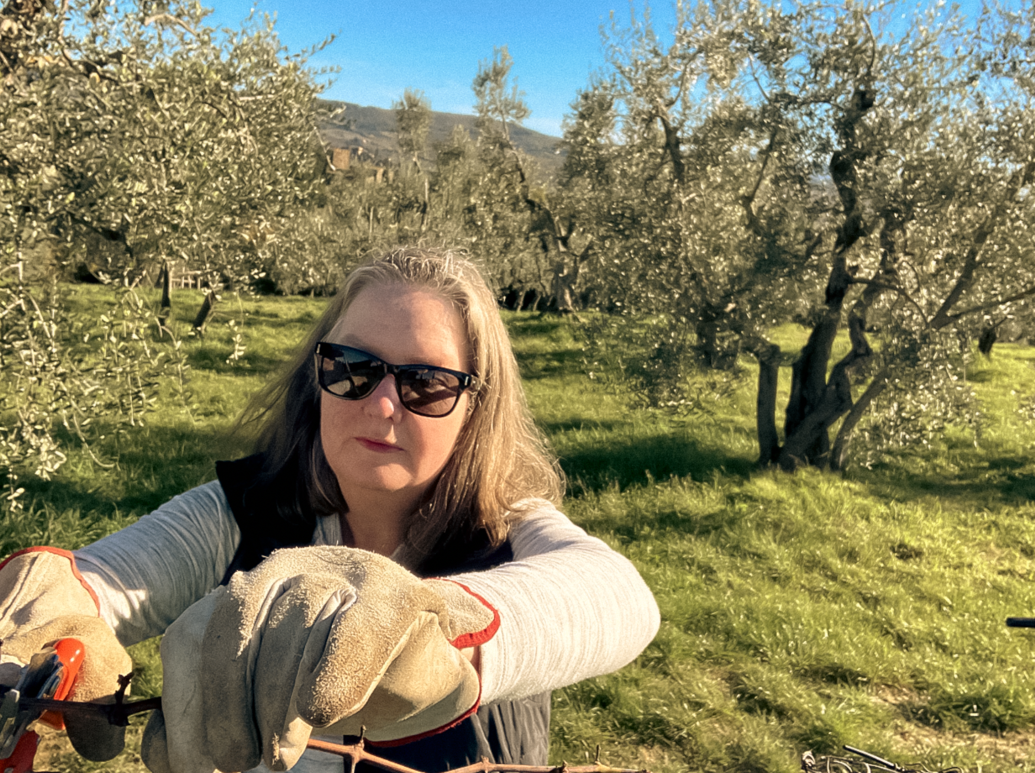 Wild learning in Italy