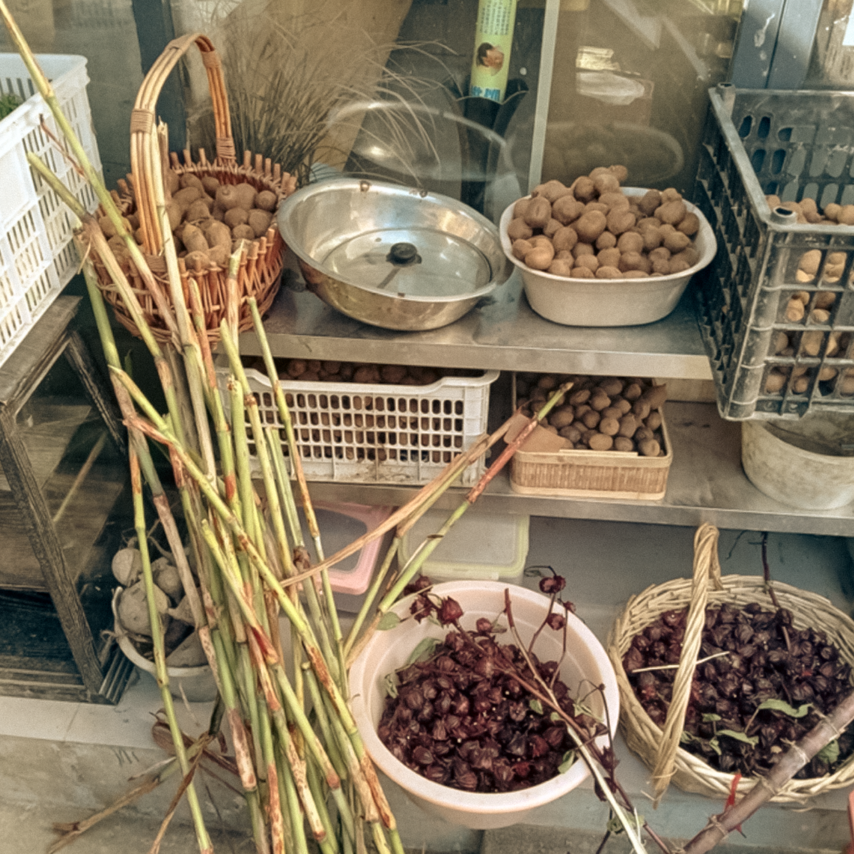 A Wild Learning Journey in Rural and Urban China –