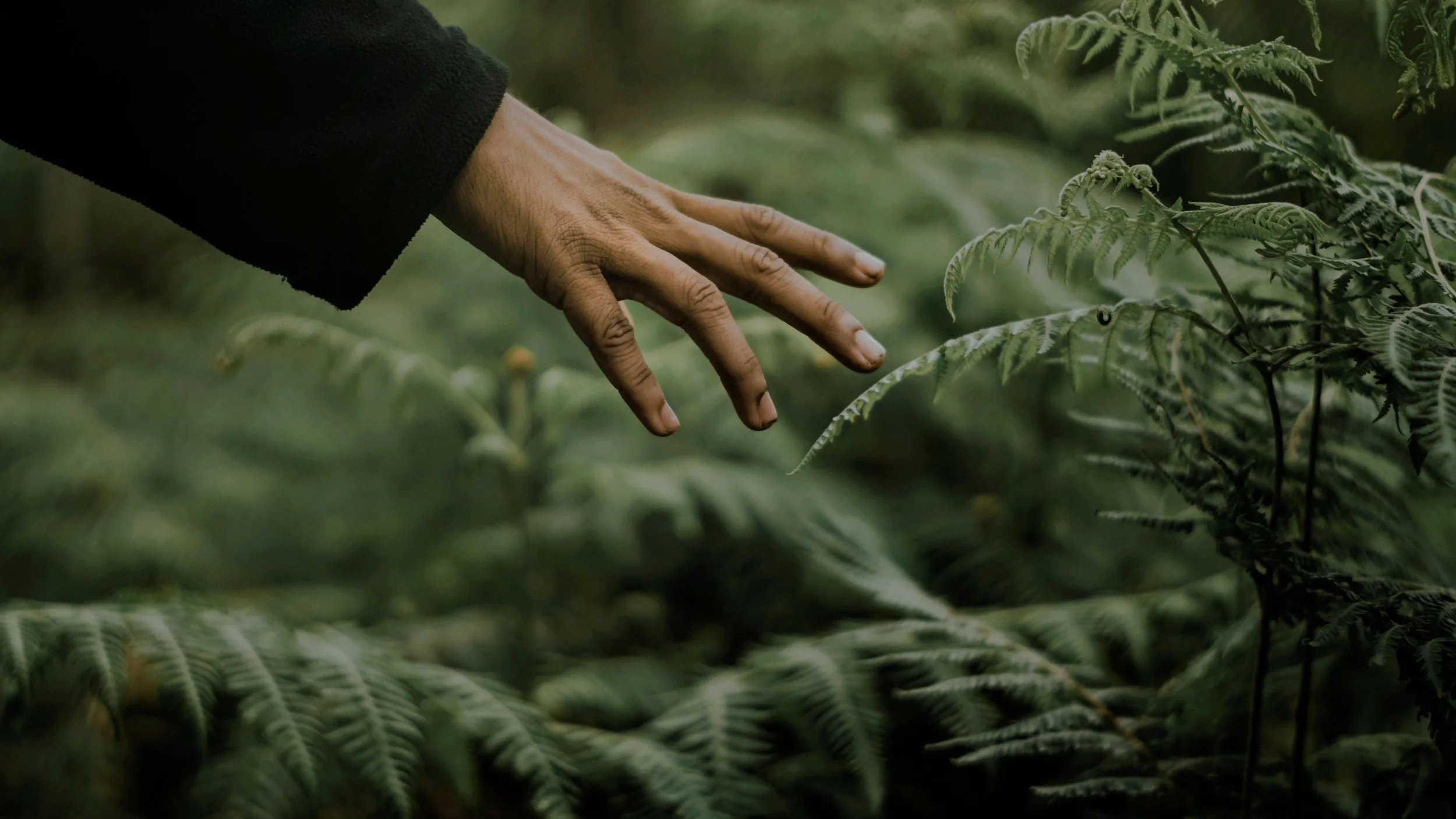 Plant Imagination: Art, Science & Enquiry