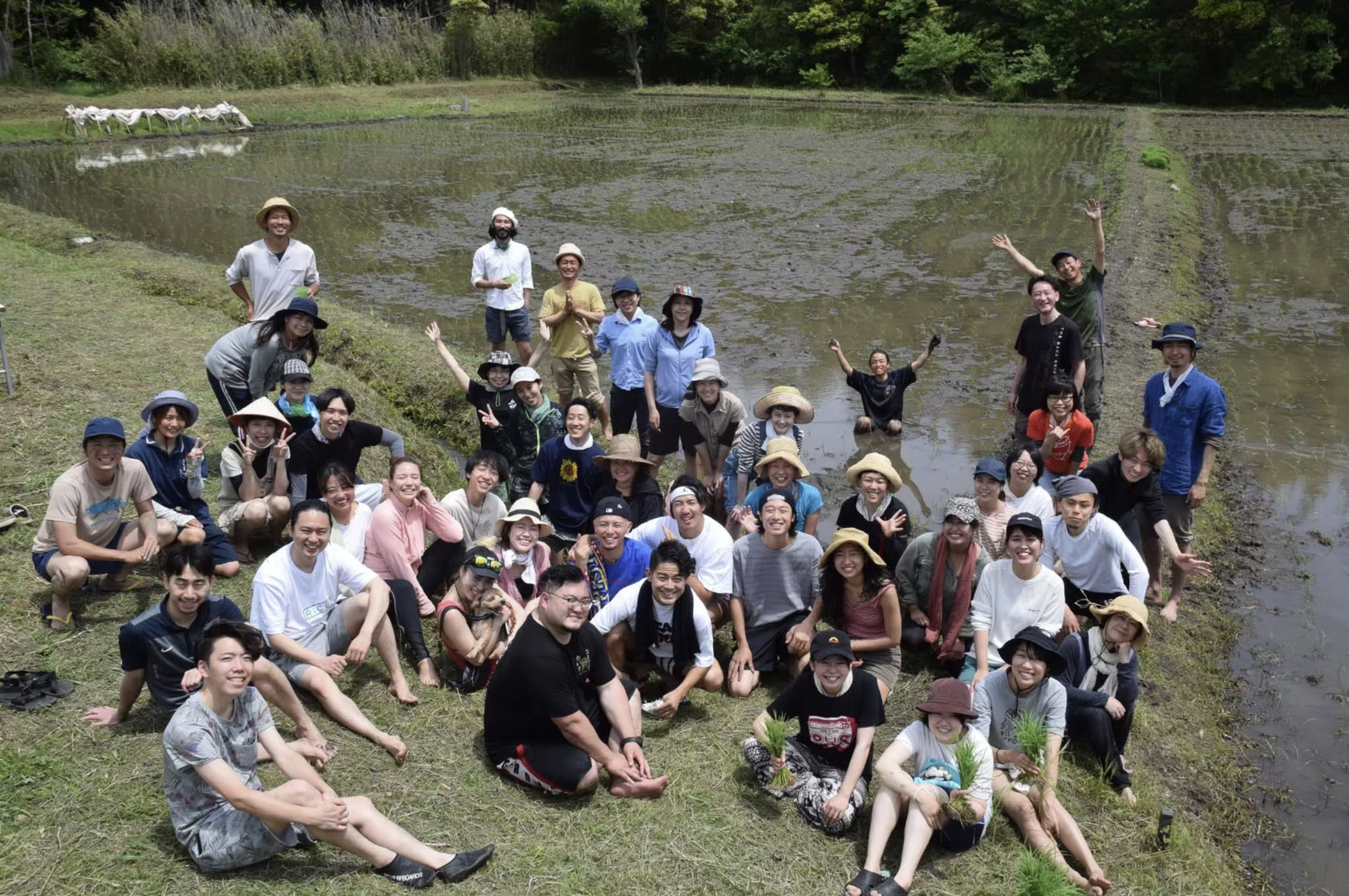 Screenshot 2025-07-08 at 12.07.51.png