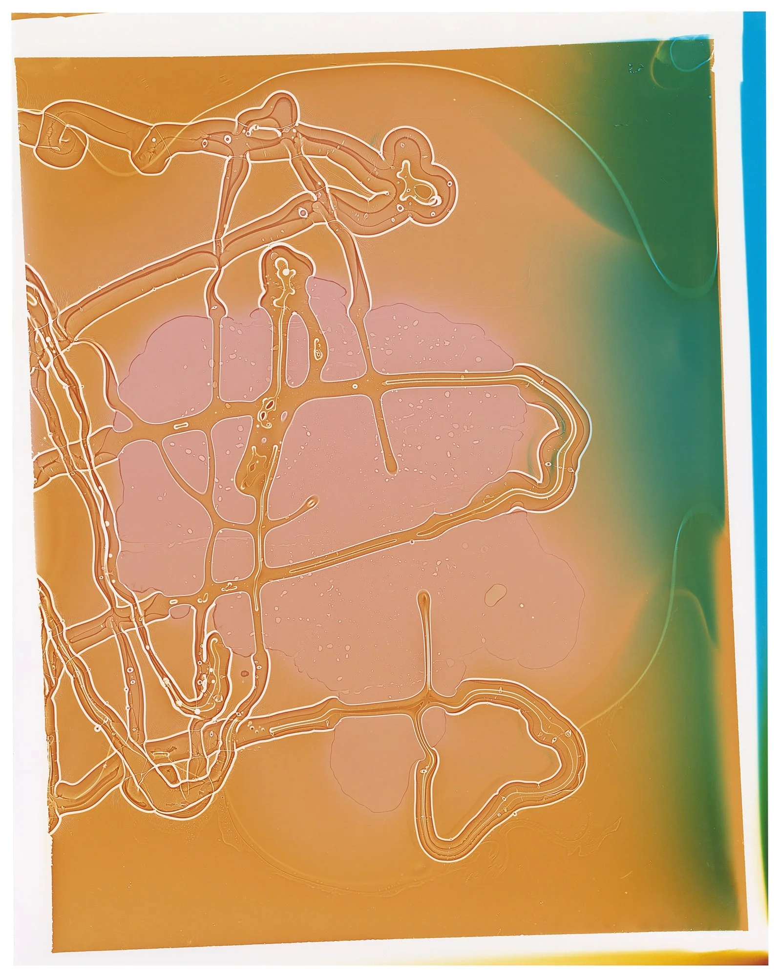 ROMAO_MARIANA_MESSING AROUND_MEDITATION_24X30_2024.jpg