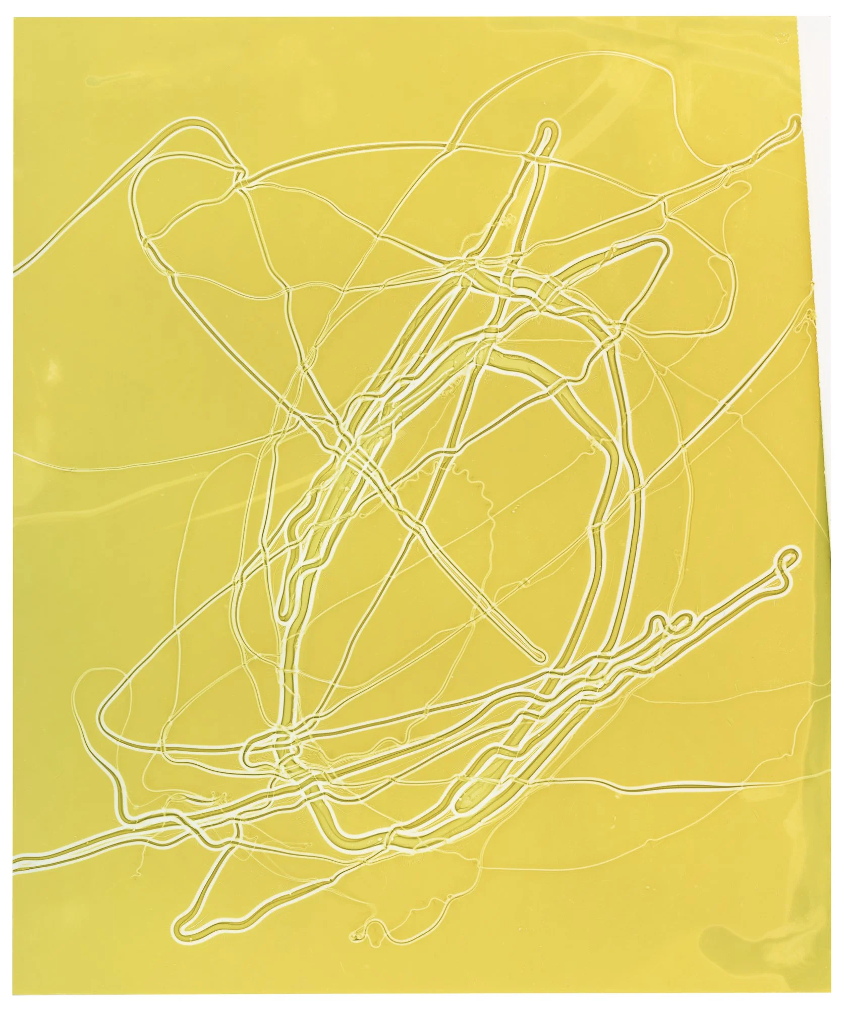 ROMAO_MARIANA_SHIFTING_MEDITATION_25x30_2025.jpg