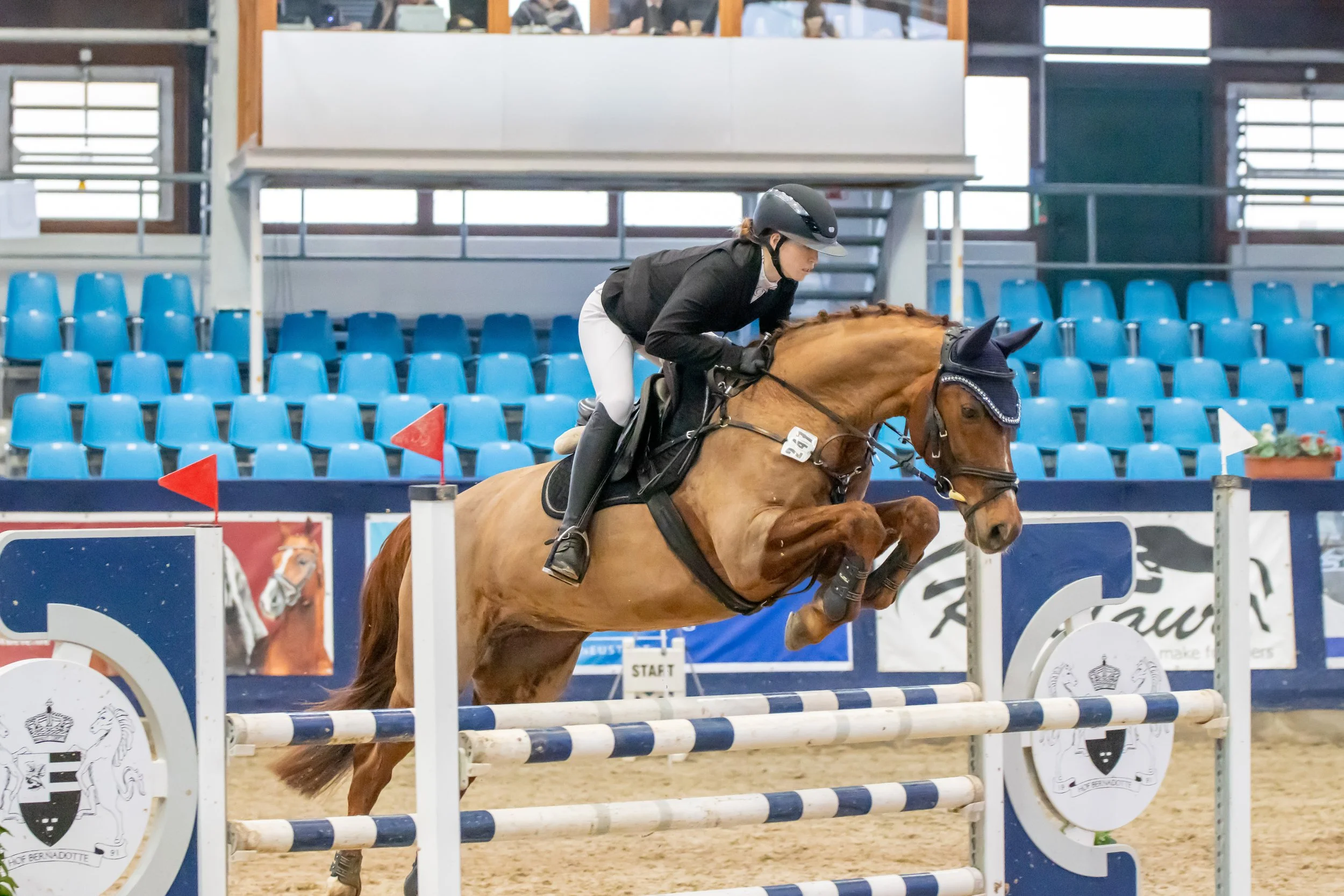 Anneliese Nebe Ciara.jpg