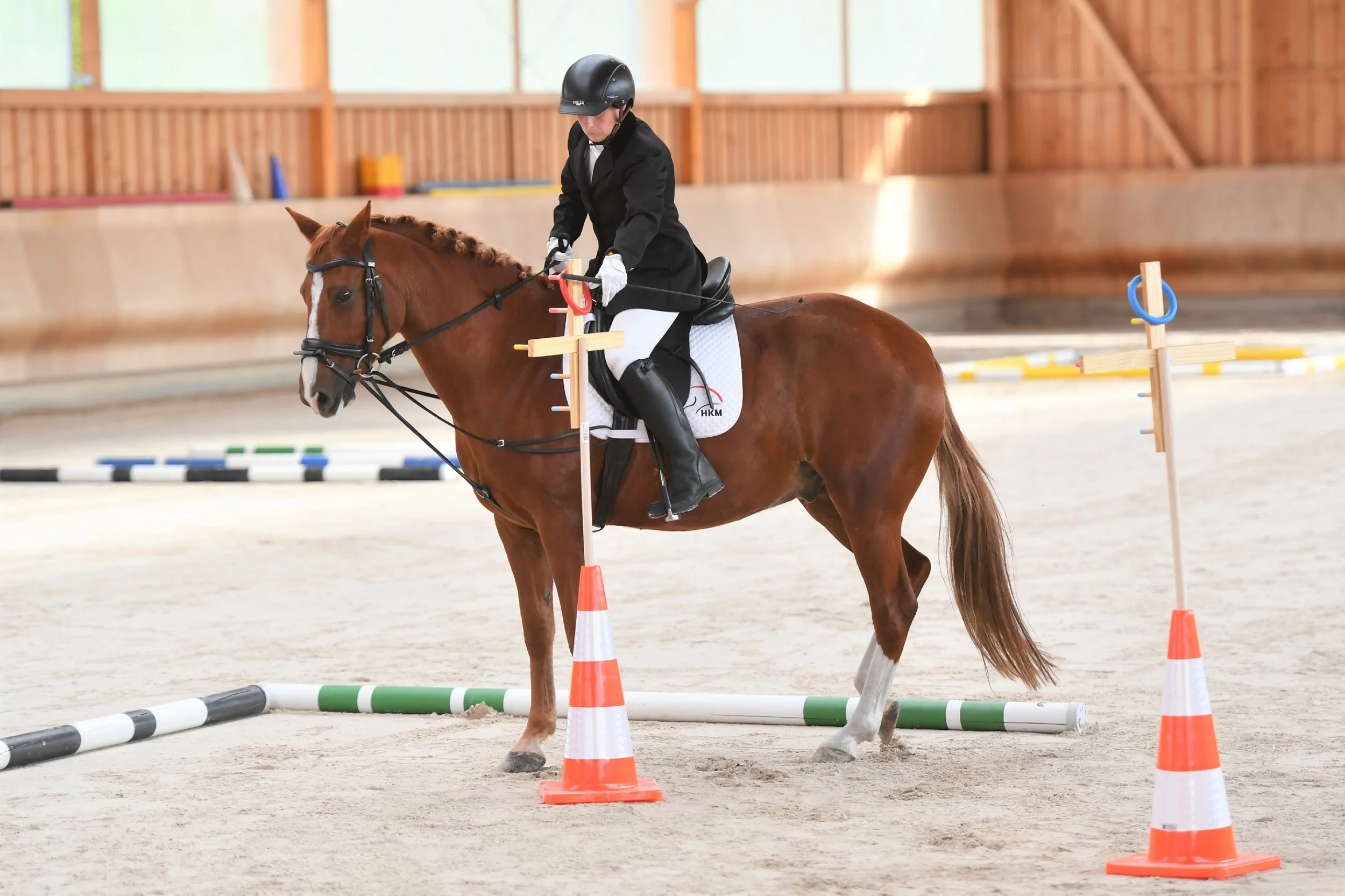 Grit Jonas vom RTZ Rodleben e.V. auf Naseweiß im Geschicklichkeitsparcours - Foto Doreen Ulbrich -.JPG