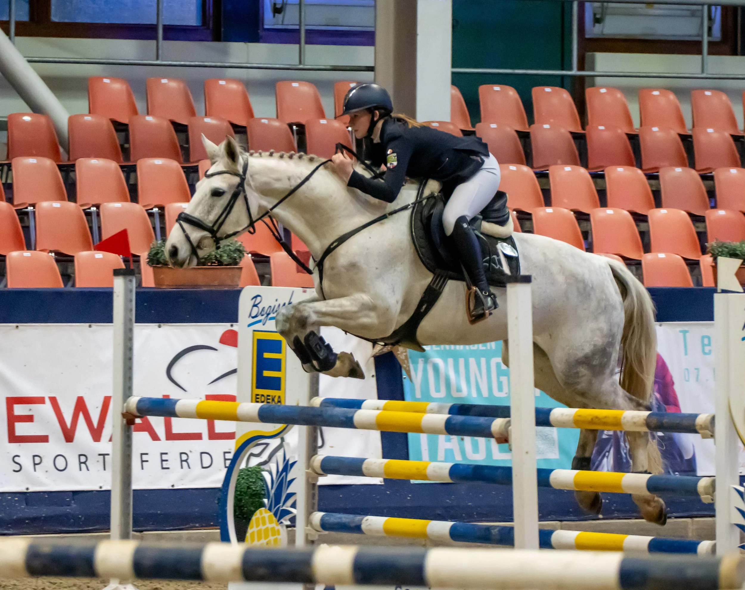 Skady Tru╠êmper Molly Malone.jpg