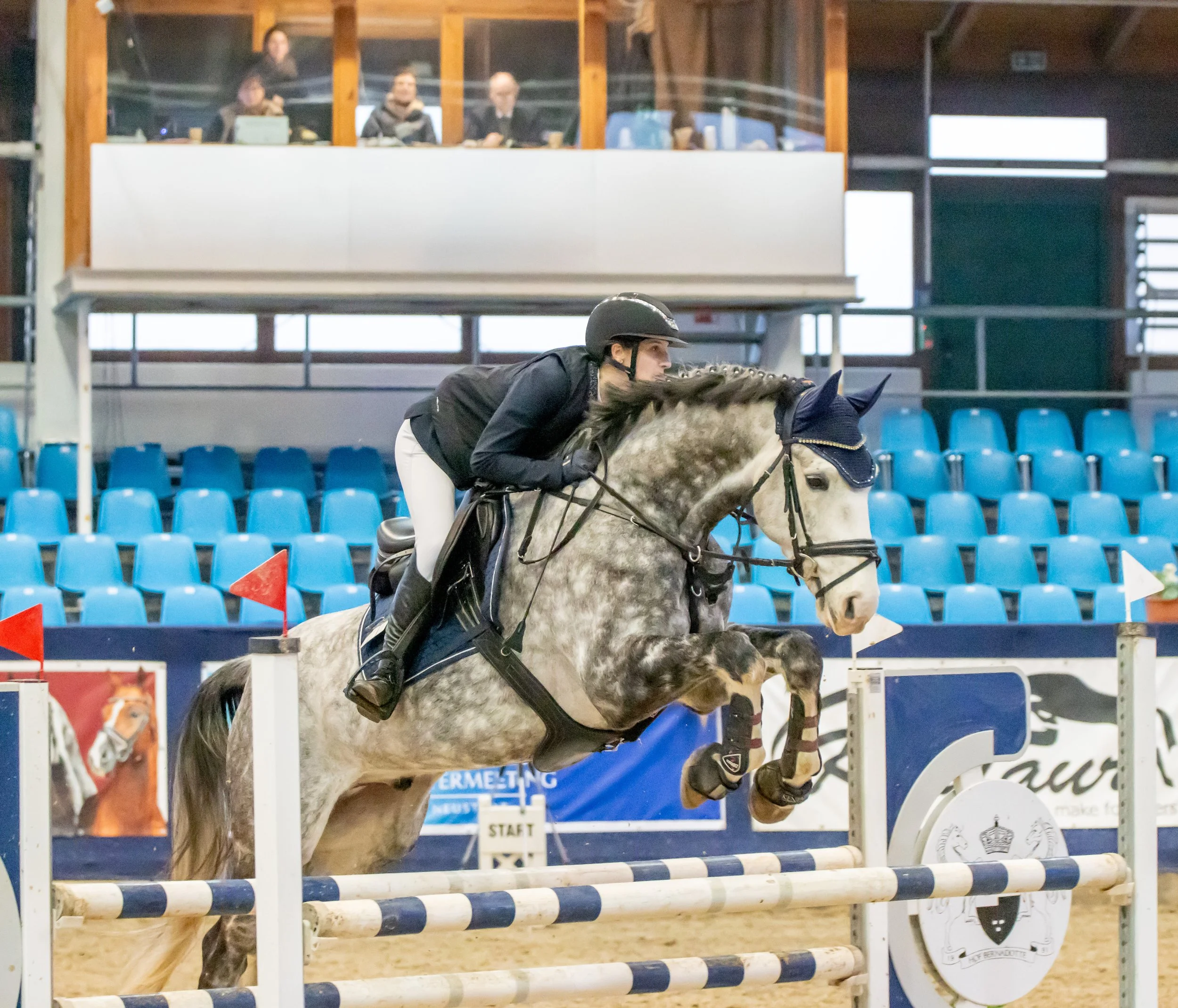 Finja Hoffmann Colege.jpg