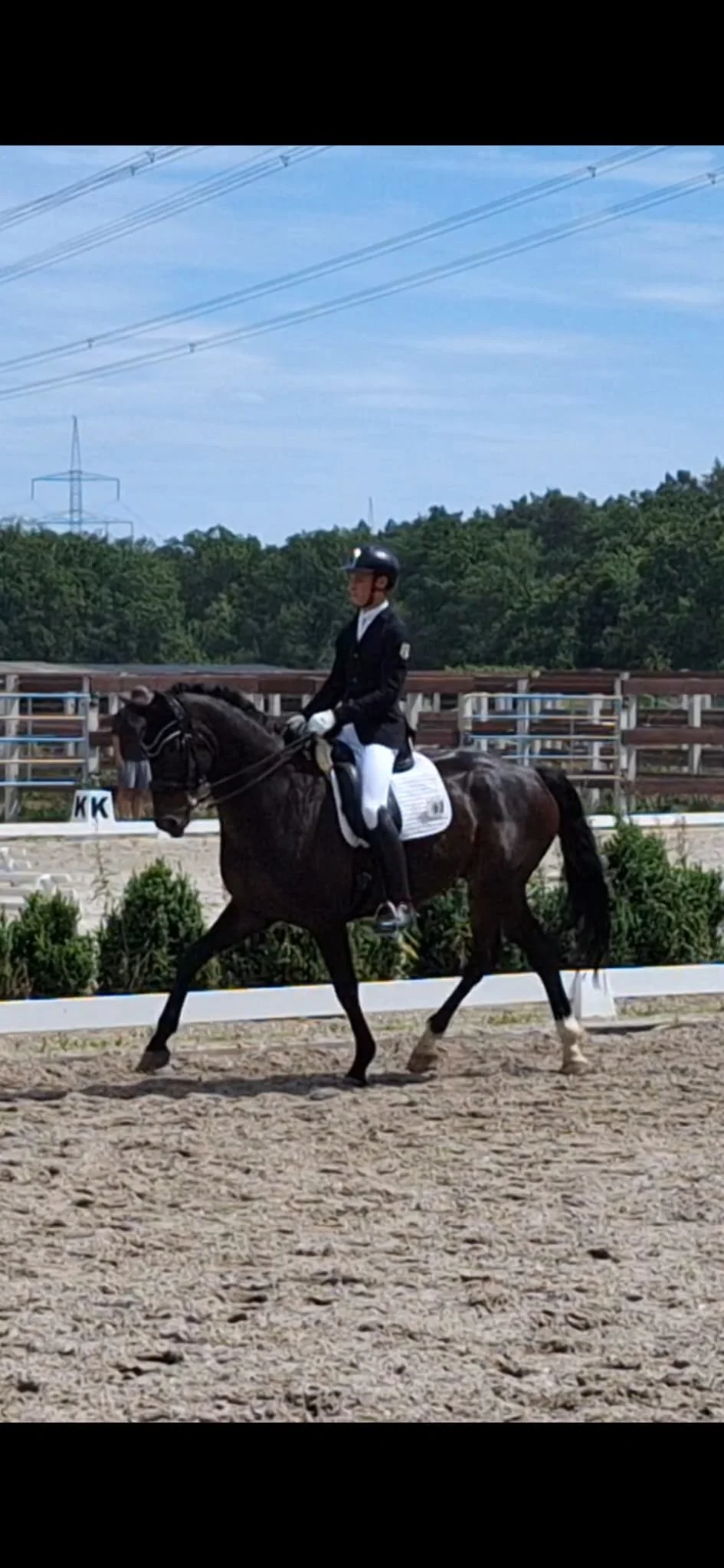 WhatsApp Image 2026-03-31 at 09.18.06.jpeg