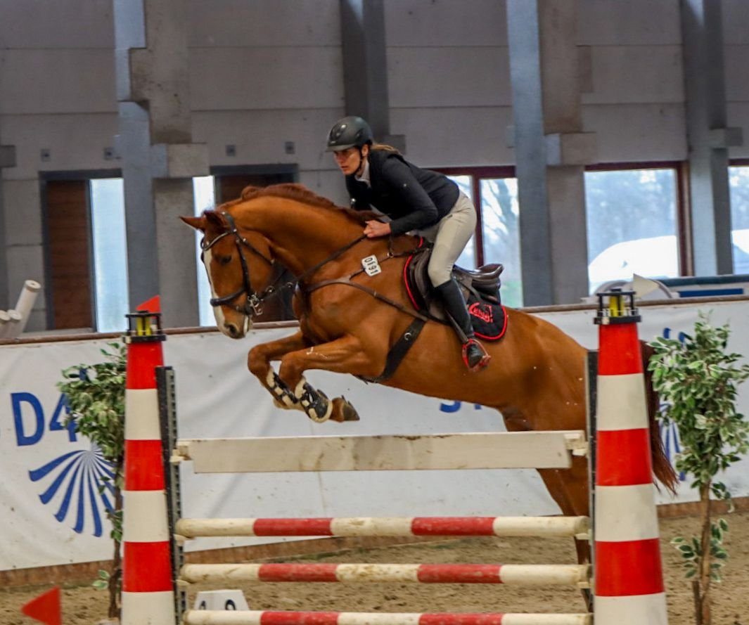 WhatsApp Image 2026-03-15 at 12.15.29 (1).jpeg