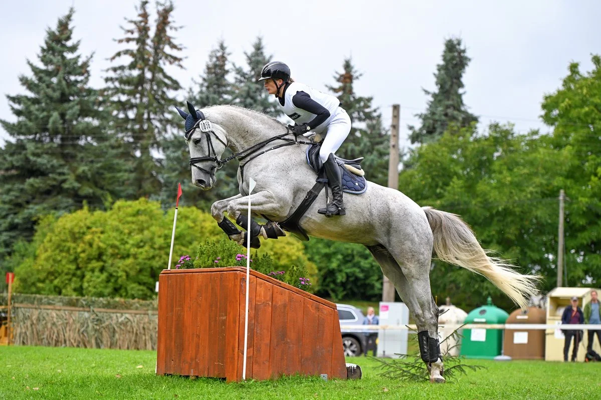 claudia-gitter_780_3100_M (max. 1200px)_910268c6_.jpg