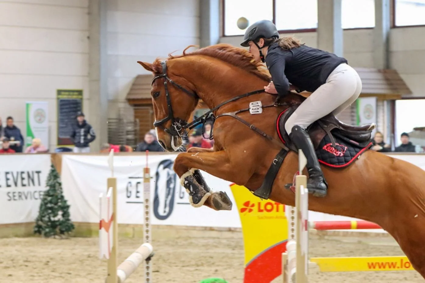 WhatsApp Image 2026-03-15 at 12.15.29.jpeg