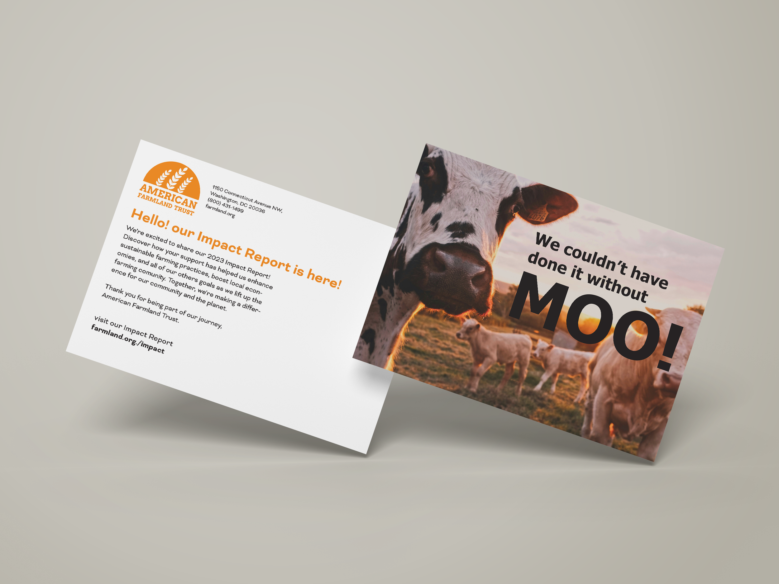 postcard mockup.png
