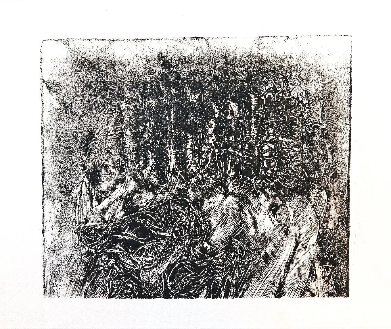 bwcollagraph1.jpg