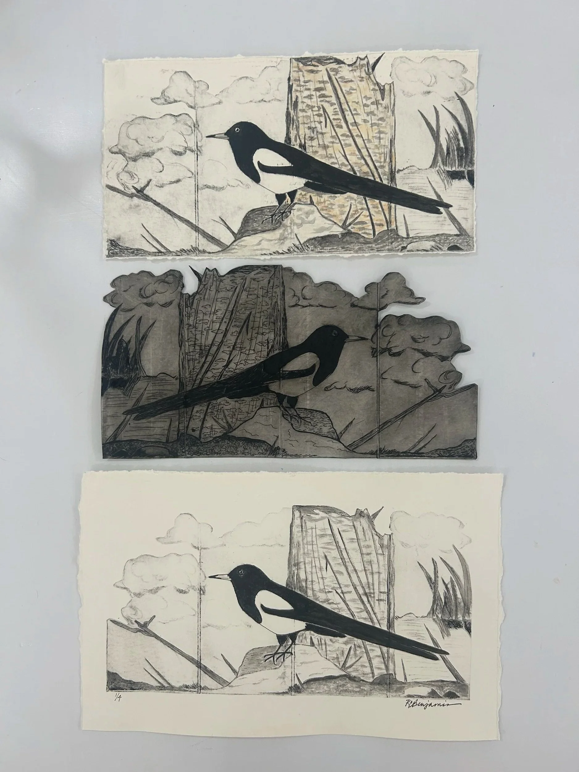 Intaglio/Drypoint Printmaking