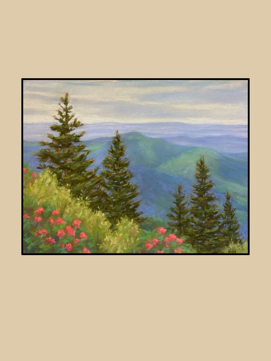 Balsam Grove Vista