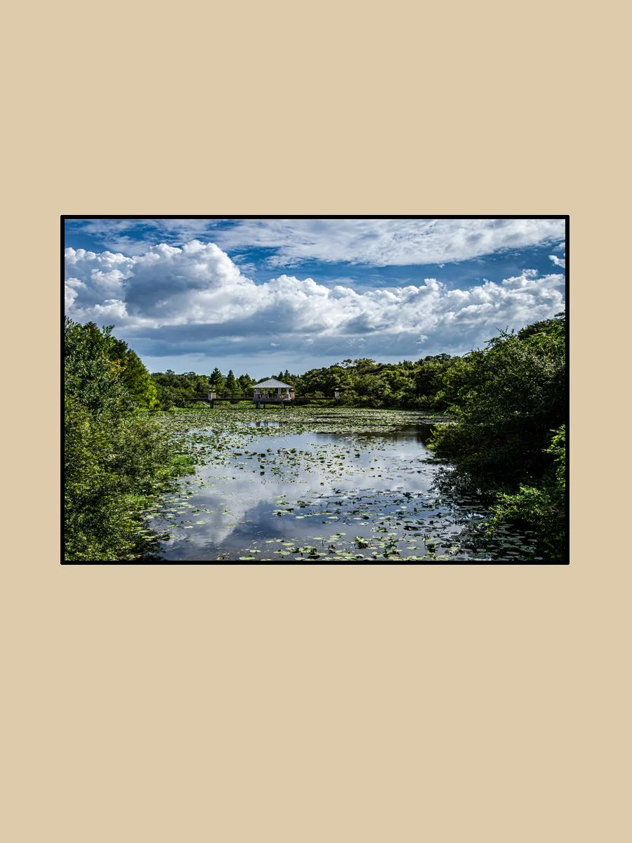 TCArts_Through The Lens_Jensen_McKay Creek_2026.jpg