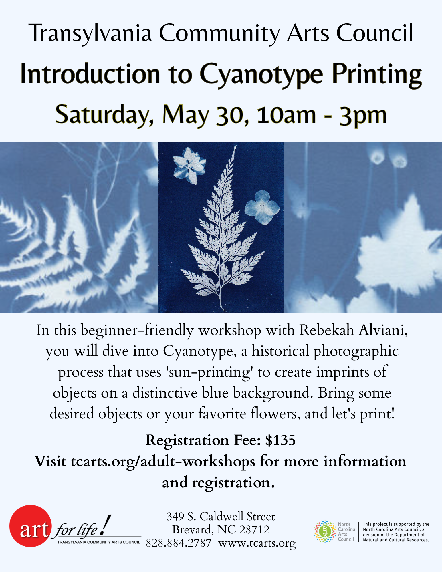 Introduction to Cyanotype Printing
