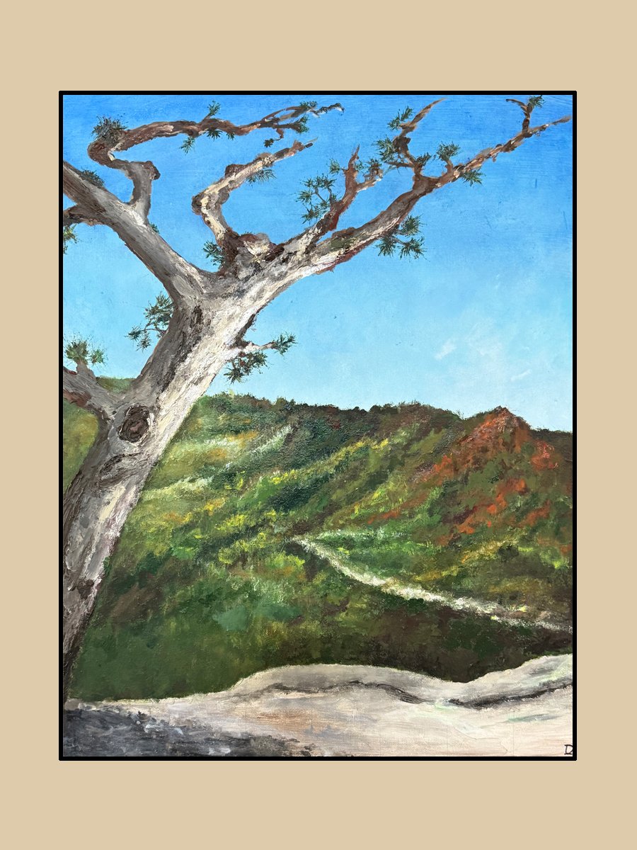 Loving Looking Glass