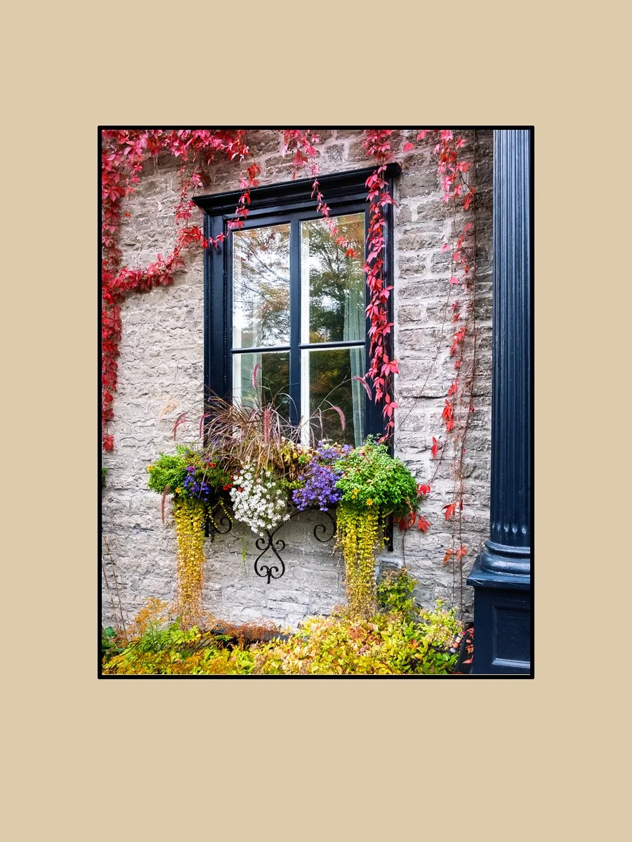 TCArts_Through The Lens_Christfield_Window_2026.jpg