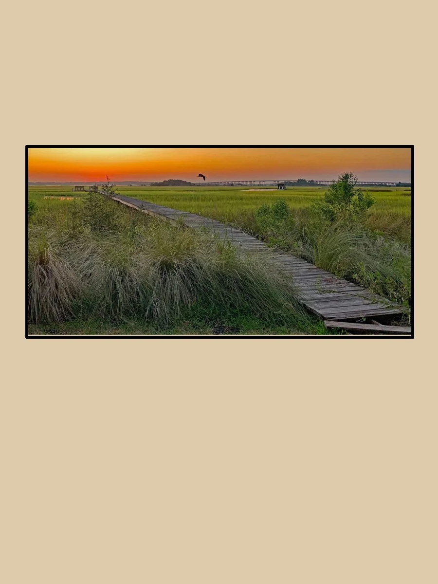 Amelia Island Marsh