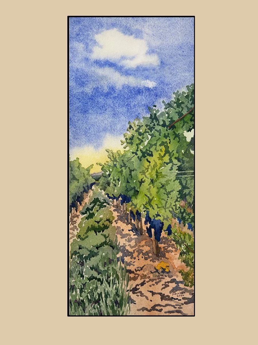 French Vineyard