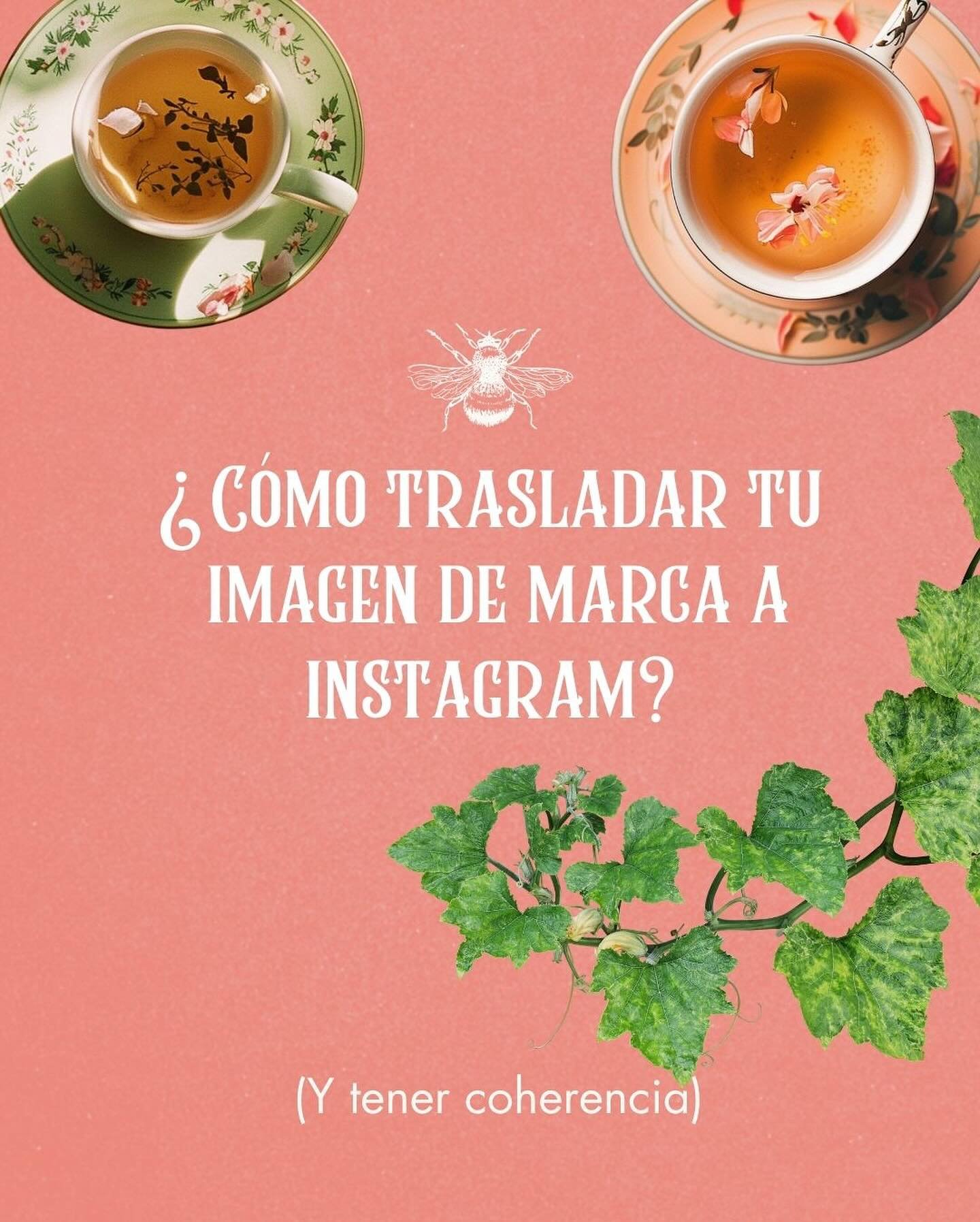 ✨ &iquest;C&oacute;mo trasladar tu imagen de marca a Instagram (y tener coherencia)? ✨
Si alguna vez te has preguntado c&oacute;mo mantener una imagen de marca consistente en Instagram, &iexcl;este carrusel te viene como anillo al dedo!

Te doy 5 cla