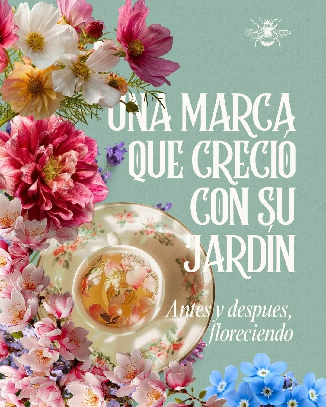 Col y Flor empez&oacute; con gallinas camperas, una huerta y un pu&ntilde;ado de flores silvestres. El zorro, los a&ntilde;os y much&iacute;simas dahlias despu&eacute;s... ya no era lo mismo.
La marca tampoco pod&iacute;a serlo.
Esto es lo que pasa c
