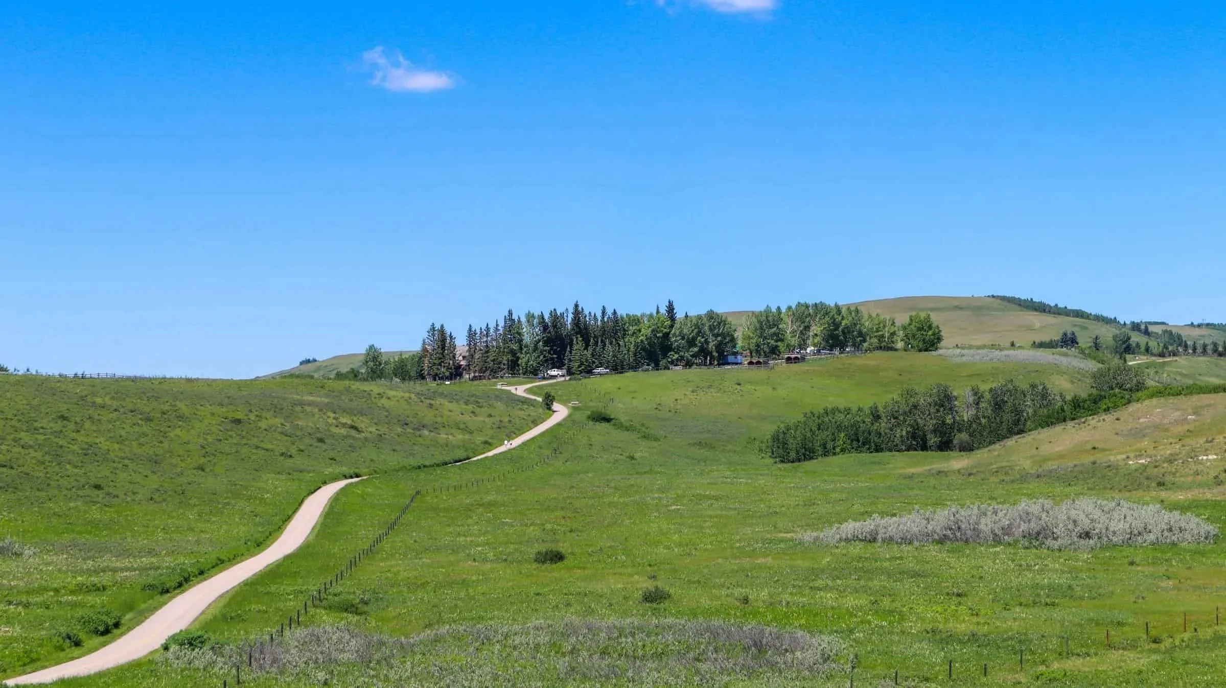 Rolling green hills with a winding rural road leading to a small cluster of trees and homes under a clear blue sky in Cochrane, Alberta