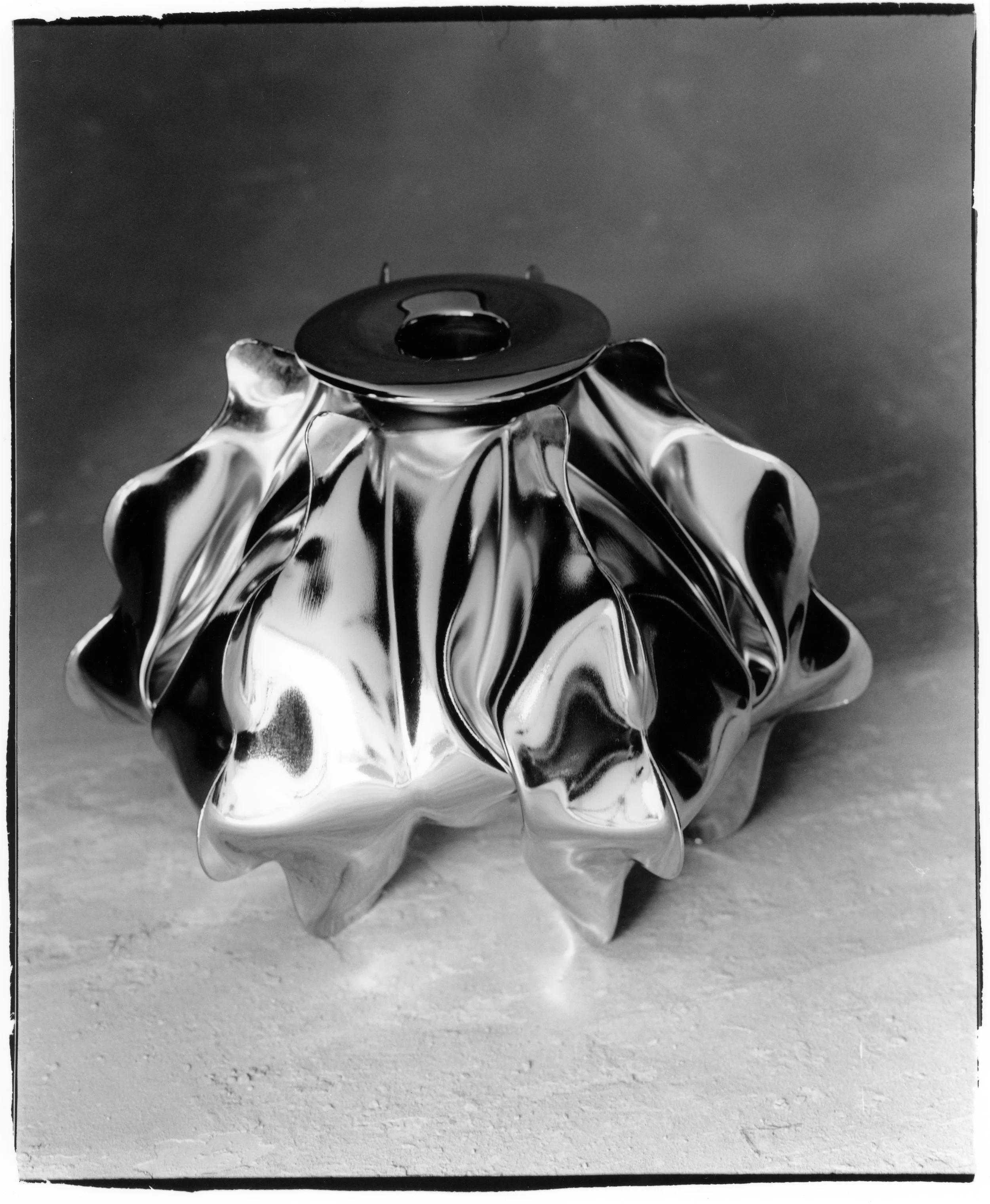 Douglas Powell, Physalia 2, 2025.Photo © Dylan Le'mon.jpg