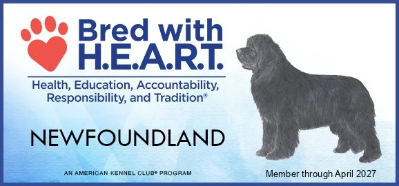 A banner for Bred with H.E.A.R.T. featuring a black Newfoundland dog and the text 'Health, Education, Accountability, Responsibility, and Tradition', with a red paw print logo.