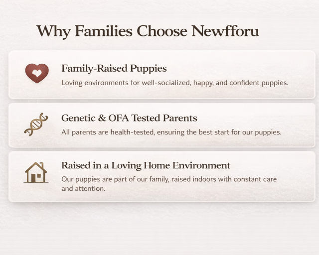 A white informational card titled "Why Families Choose Newforu" with three reasons listed: 1. Family-Raised Puppies with a heart icon, emphasizing loving environments for happy and confident puppies; 2. Genetic & OFA Tested Parents with a DNA icon, highlighting health-tested parents ensuring the best start for puppies; 3. Raised in a Loving Home Environment with a house icon, stating puppies are raised indoors with constant care and attention.