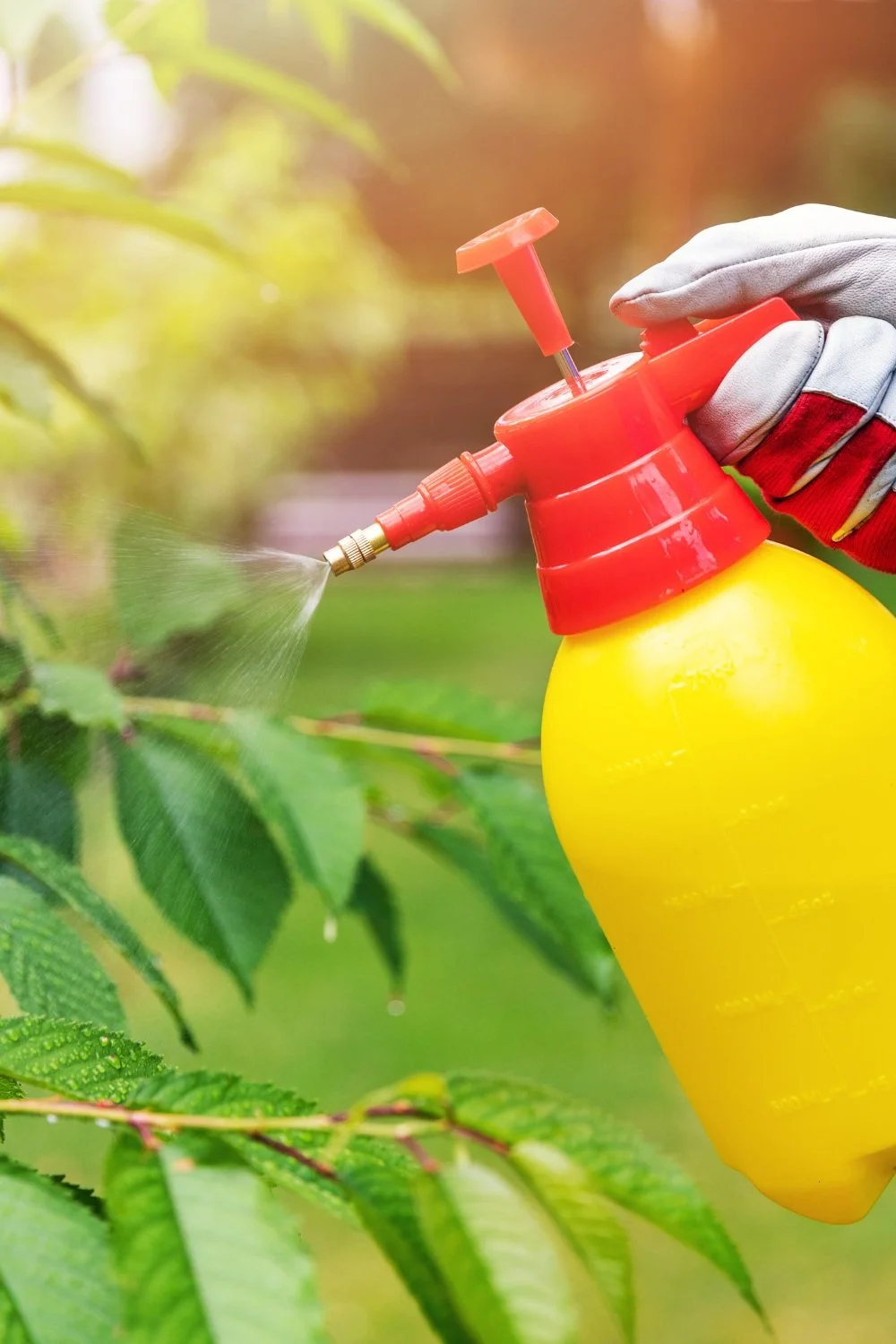 picture of garden spray in garden