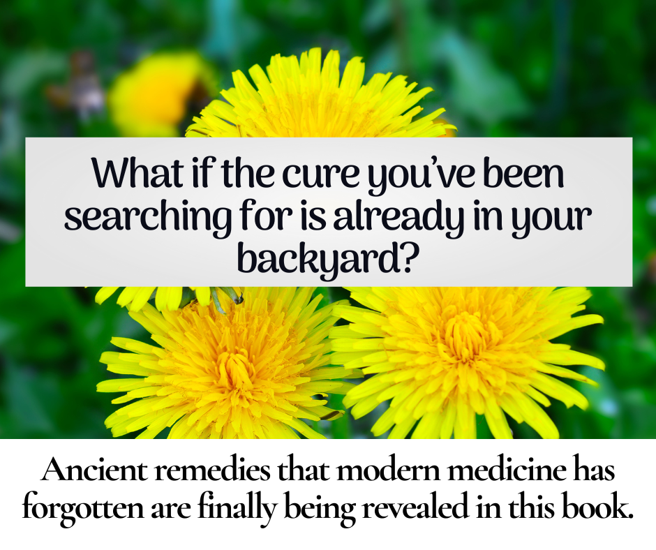 Curated visual reference: Picture Idea: How To Use Oregano Essential Oil To Treat Urinary Tract