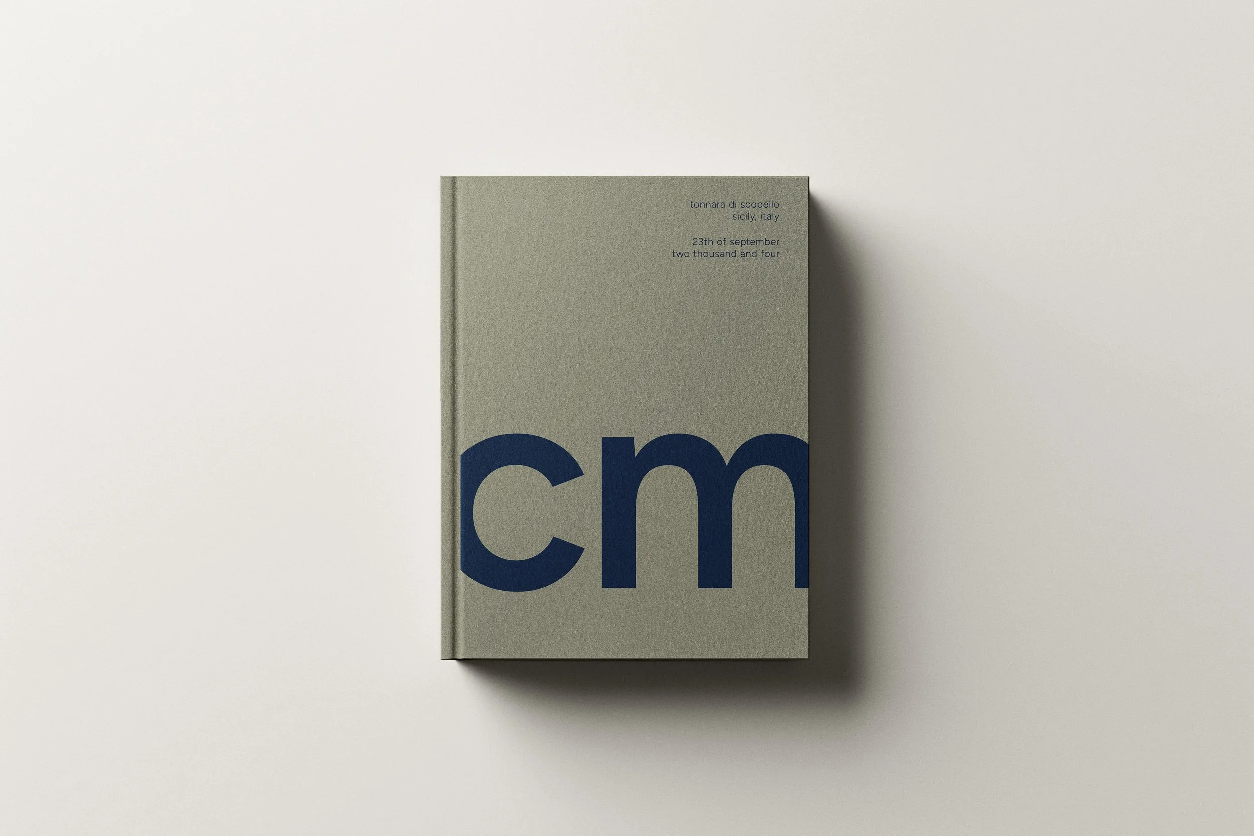 Mockup Modern grey navy.jpg