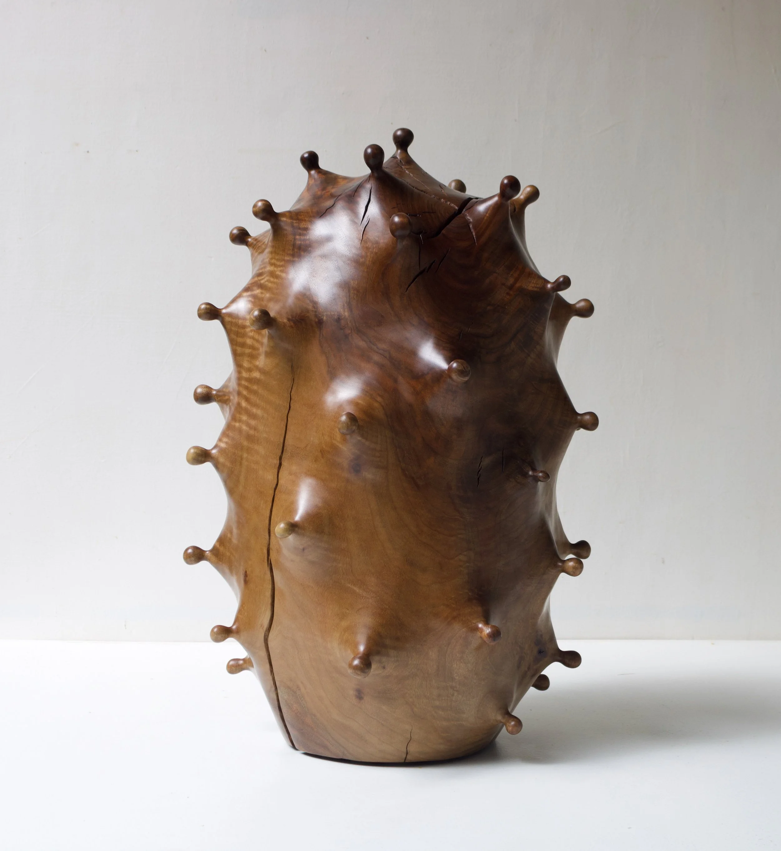 image-asset copie.jpeg