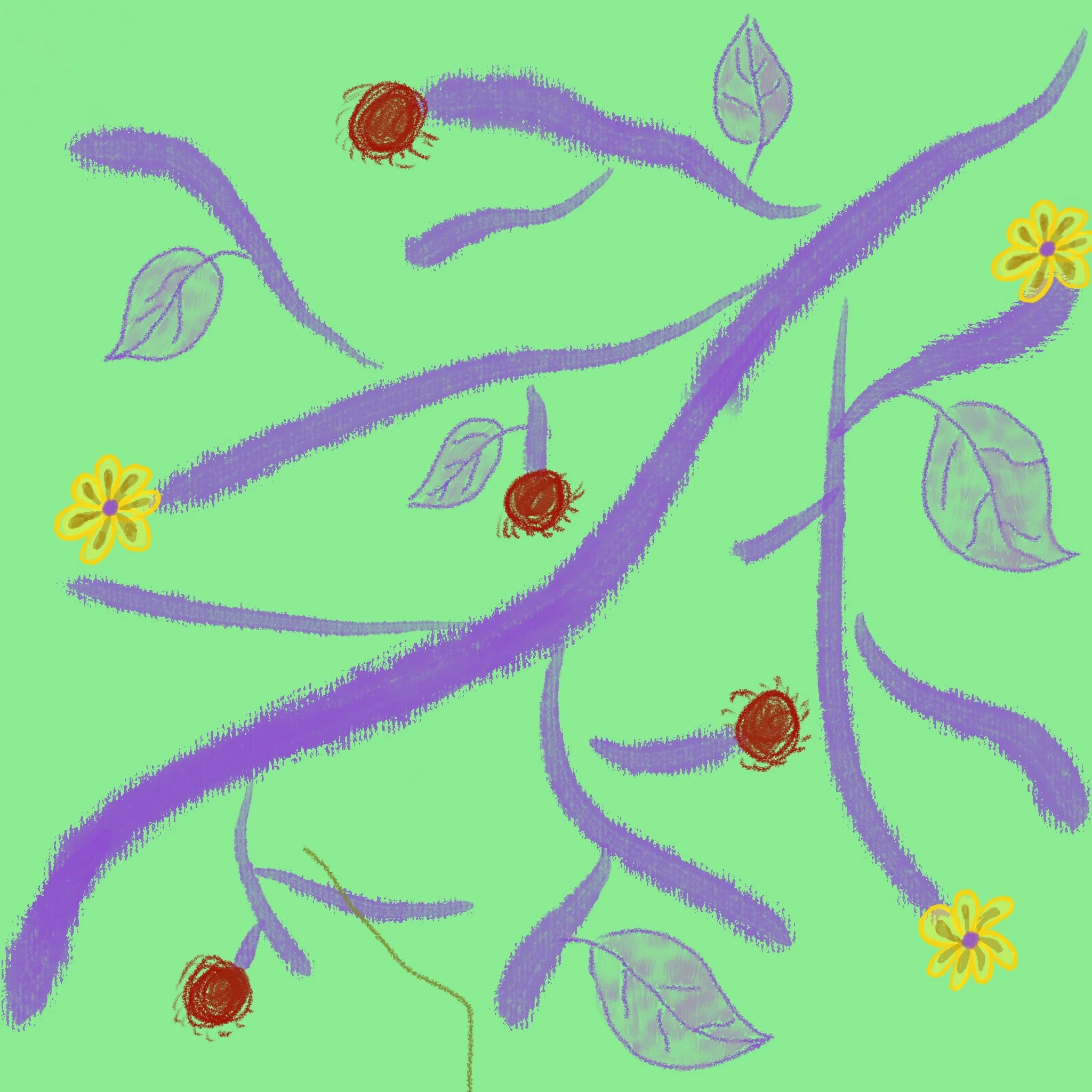 Newsletter | 野生藤蔓 wild vine