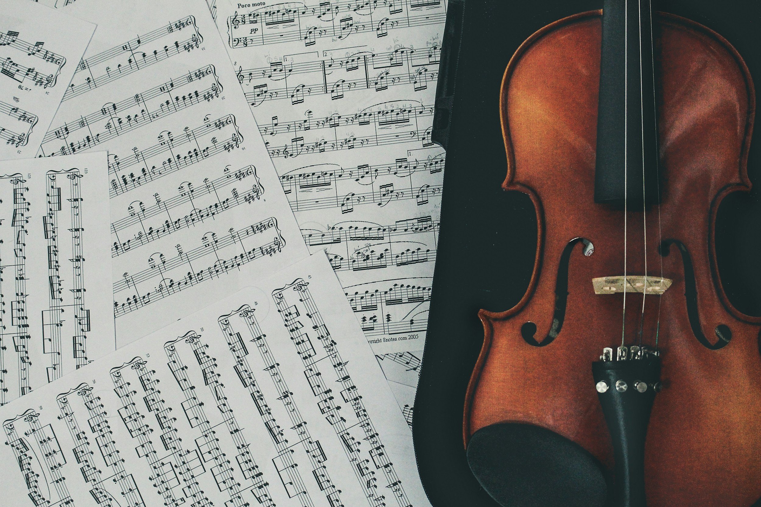 Next Level Violinist 2014