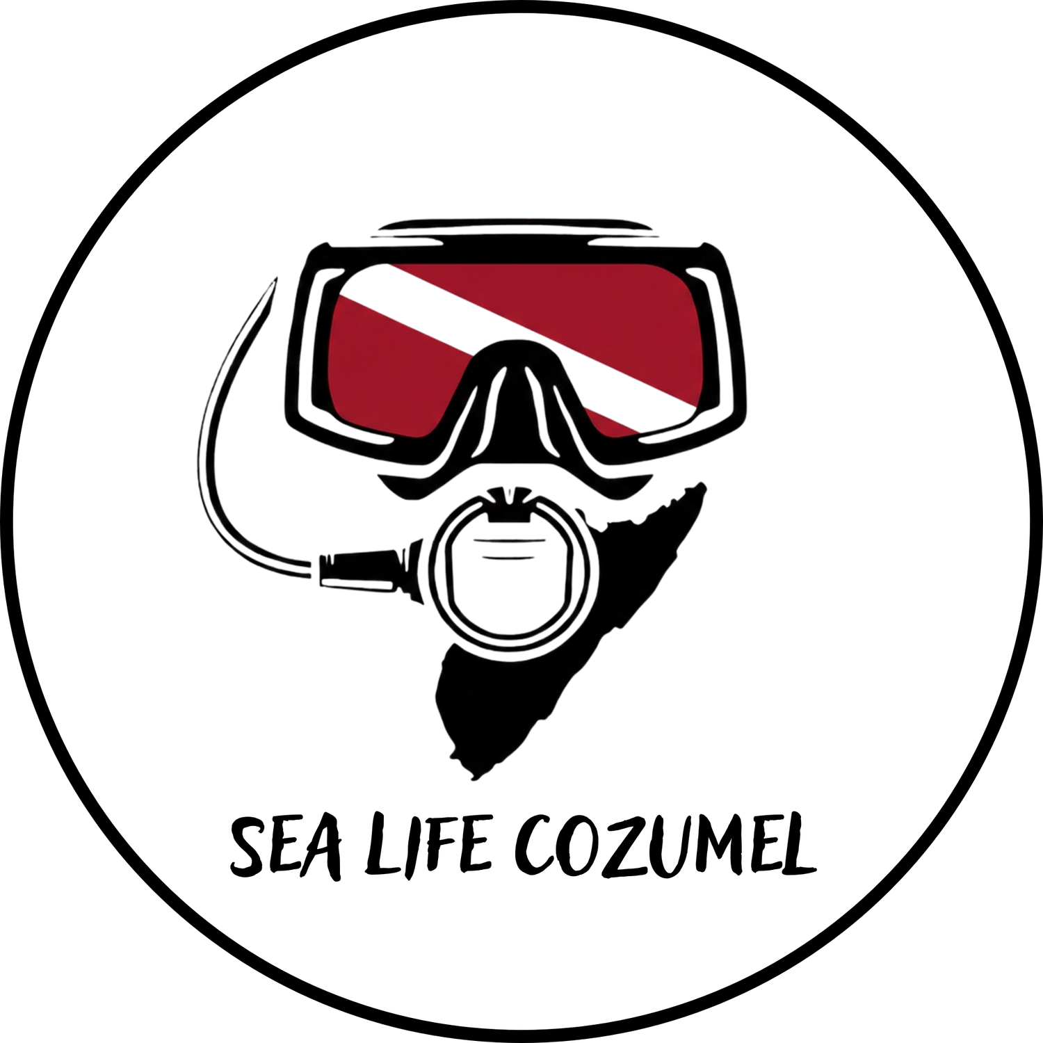 Sea Life 